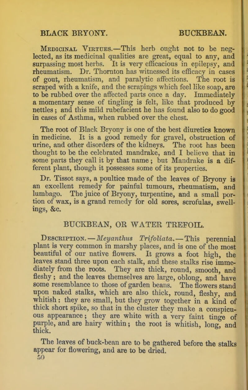 Medicinal Virtues.—This herb ought not to be neg- lected, as its medicinal qualities are great, equal to any, and surpassing most herbs. It is veiy efficacious in epilepsy, and rheumatism. Dr. Thornton has witnessed its efficacy in cases of gout, rheumatism, and paralytic affections. The root is scraped with a knife, and the scrapings which feel like soap, are to be rubbed over the affected parts once a day. Immediately a momentary sense of tingling is felt, like that produced by nettles; and this mild rubefacient he has found also to do good in cases of Asthma, when rubbed over the chest. The root of Black Bryony is one of the best diuretics known in medicine. It is a good remedy for gravel, obstruction of urine, and other disorders of the kidneys. The root has been thought to be the celebrated mandrake, and I believe that in some parts they call it by that name ; but Mandrake is a dif- ferent plant, though it possesses some of its properties. Dr. Tissot says, a poultice made of the leaves of Bryony is an excellent remedy for painful tumours, rheumatism, and lumbago. The juice of Bryony, turpentine, and a small por- tion of wax, is a grand remedy for old sores, scrofulas, swell- ings, &c. BUCKBEAN, OK WATER TREFOIL. Description. — Meyanthus Trifoliata.—This perennial plant is very common in marshy places, and is one of the most beautiful of our native flowers. It grows a foot high, the leaves stand three upon each stalk, and these stalks rise imme- diately from the roots. They are thick, round, smooth, and fleshy; and the leaves themselves are large, oblong, and have some resemblance to those of garden beans. The flowers stand upon naked stalks, which are also thick, round, fleshy, and whitish: they are small, but they grow together in a kind of thick short spike, so that in the cluster they make a conspicu- ous appearance; they are white with a very faint tinge of purple, and are hairy within; the root is whitish, long, and thick. The leaves of buck-bean are to be gathered before the stalks appear for flowering, and are to be dried.