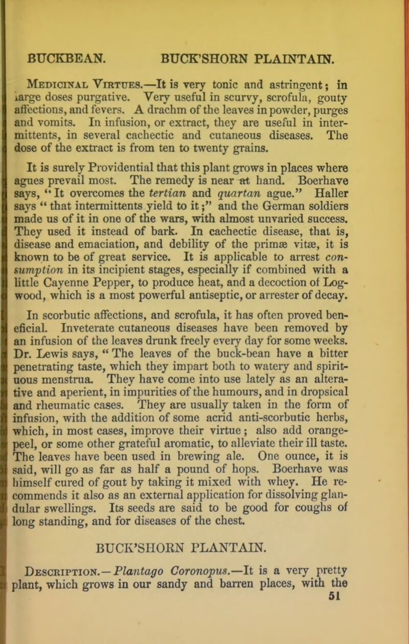 BUCKBEAN. BUCK'SHORN PLAINTAIN. Medicinal Virtues.—It is very tonic and astringent; in iarge doses purgative. Very useful in scurvy, scrofula, gouty affections, and fevers. A drachm of the leaves in powder, purges and vomits. In infusion, or extract, they are useful in inter- mittents, in several cachectic and cutaneous diseases. The dose of the extract is from ten to twenty grains. It is surely Providential that this plant grows in places where agues prevail most. The remedy is near at hand. Boerhave says,  It overcomes the tertian and quartan ague. Haller says  that intermittents yield to it; and the German soldiers made us of it in one of the wars, with almost unvaried success. They used it instead of bark. In cachectic disease, that is, disease and emaciation, and debility of the prima? vitae, it is known to be of great service. It is applicable to arrest con- sumption in its incipient stages, especially if combined with a little Cayenne Pepper, to produce heat, and a decoction of Log- wood, which is a most powerful antiseptic, or arrester of decay. In scorbutic affections, and scrofula, it has often proved ben- eficial. Inveterate cutaneous diseases have been removed by an infusion of the leaves drunk freely every day for some weeks. Dr. Lewis says,  The leaves of the buck-bean have a bitter penetrating taste, which they impart both to watery and spirit- uous menstrua. They have come into use lately as an altera- tive and aperient, in impurities of the humours, and in dropsical and rheumatic cases. They are usually taken in the form of infusion, with the addition of some acrid anti-scorbutic herbs, which, in most cases, improve their virtue ; also add orange- peel, or some other grateful aromatic, to alleviate their ill taste. The leaves have been used in brewing ale. One ounce, it is said, will go as far as half a pound of hops. Boerhave was himself cured of gout by taking it mixed with whey. He re- commends it also as an external application for dissolving glan- dular swellings. Its seeds are said to be good for coughs of long standing, and for diseases of the chest. BUCK'SHORN PLANTAIN. Description.—Plantago Coronopus.—It is a very pretty plant, which grows in our sandy and barren places, with the