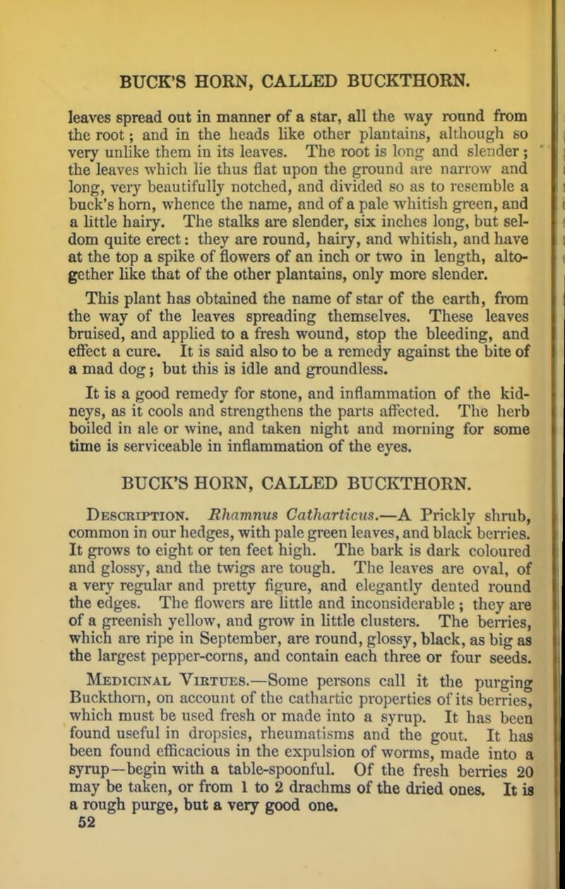 BUCK'S HORN, CALLED BUCKTHORN. leaves spread out in manner of a star, all the way round from the root; and in the heads like other plantains, although so very unlike them in its leaves. The root is long and slender ; ' j the leaves which lie thus flat upon the ground are narrow and long, very beautifully notched, and divided so as to resemble a i buck's horn, whence the name, and of a pale whitish green, and a little hairy. The stalks are slender, six inches long, but sel- dom quite erect: they are round, hairy, and whitish, and have i at the top a spike of flowers of an inch or two in length, alto- gether like that of the other plantains, only more slender. This plant has obtained the name of star of the earth, from the way of the leaves spreading themselves. These leaves bruised, and applied to a fresh wound, stop the bleeding, and effect a cure. It is said also to be a remedy against the bite of a mad dog; but this is idle and groundless. It is a good remedy for stone, and inflammation of the kid- neys, as it cools and strengthens the parts affected. The herb boiled in ale or wine, and taken night and morning for some time is serviceable in inflammation of the eyes. BUCK'S HORN, CALLED BUCKTHORN. Description. Rhamnus Catharticus.—A Prickly shrub, common in our hedges, with pale green leaves, and black berries. It grows to eight or ten feet high. The bark is dark coloured and glossy, and the twigs are tough. The leaves are oval, of a very regular and pretty figure, and elegantly dented round I the edges. The flowers are little and inconsiderable ; they are of a greenish yellow, and grow in little clusters. The berries, which are ripe in September, are round, glossy, black, as big as the largest pepper-corns, and contain each three or four seeds. Medicinal Virtues.—Some persons call it the purging Buckthorn, on account of the cathartic properties of its berries, which must be used fresh or made into a syrup. It has been I found useful in dropsies, rheumatisms and the gout. It has been found efficacious in the expulsion of worms, made into a syrup—begin with a table-spoonful. Of the fresh berries 20 may be taken, or from 1 to 2 drachms of the dried ones. It is a rough purge, but a very good one.