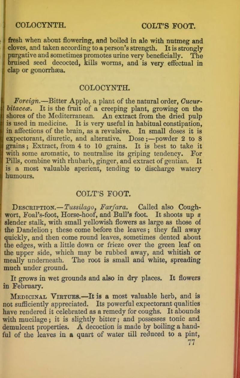 COLOCYNTH. COLT'S FOOT. fresh when about flowering, and boiled in ale with nntmeg and cloves, and taken according to a person's strength. It is strongly pnrgative and sometimes promotes urine very beneficially. The bruised seed decocted, kills worms, and is very effectual in clap or gonorrhaea. COLOCYNTH. Foreign.—Bitter Apple, a plant of the natural order, Cucur- bitacece. It is the fruit of a creeping plant, growing on the shores of the Mediterranean. An extract from the dried pulp is used in medicine. It is very useful in habitual constipation, in affections of the brain, as a revulsive. In small doses it is expectorant, diuretic, and alterative. Dose;—powder 2 to 8 grains; Extract, from 4 to 10 grains. It is best to take it with some aromatic, to neutralise its griping tendency. For Pills, combine with rhubarb, ginger, and extract of gentian. It is a most valuable aperient, tending to discharge watciy humours. COLT'S FOOT. Description.—Tussilago, Far/ara. Called also Cough- wort, FoaPs-foot, Horse-hoof, and Bull's foot. It shoots up a slender stalk, with small yellowish flowers as large as those of the Dandelion; these come before the leaves; they fall away quickly, and then come round leaves, sometimes dented about the edges, with a little down or frieze over the green leaf on the upper side, which may be rubbed away, and whitish or meally underneath. The root is small and white, spreading much under ground. It grows in wet grounds and also in dry places. It flowers in February. Medicinal Virtues.—It is a most valuable herb, and is not sufficiently appreciated. Its powerful expectorant qualities have rendered it celebrated as a remedy for coughs. It abounds with mucilage; it is slightly bitter; and possesses tonic and demulcent properties. A decoction is made by boiling a hand- ful of the leaves in a quart of water till reduced to a pint,