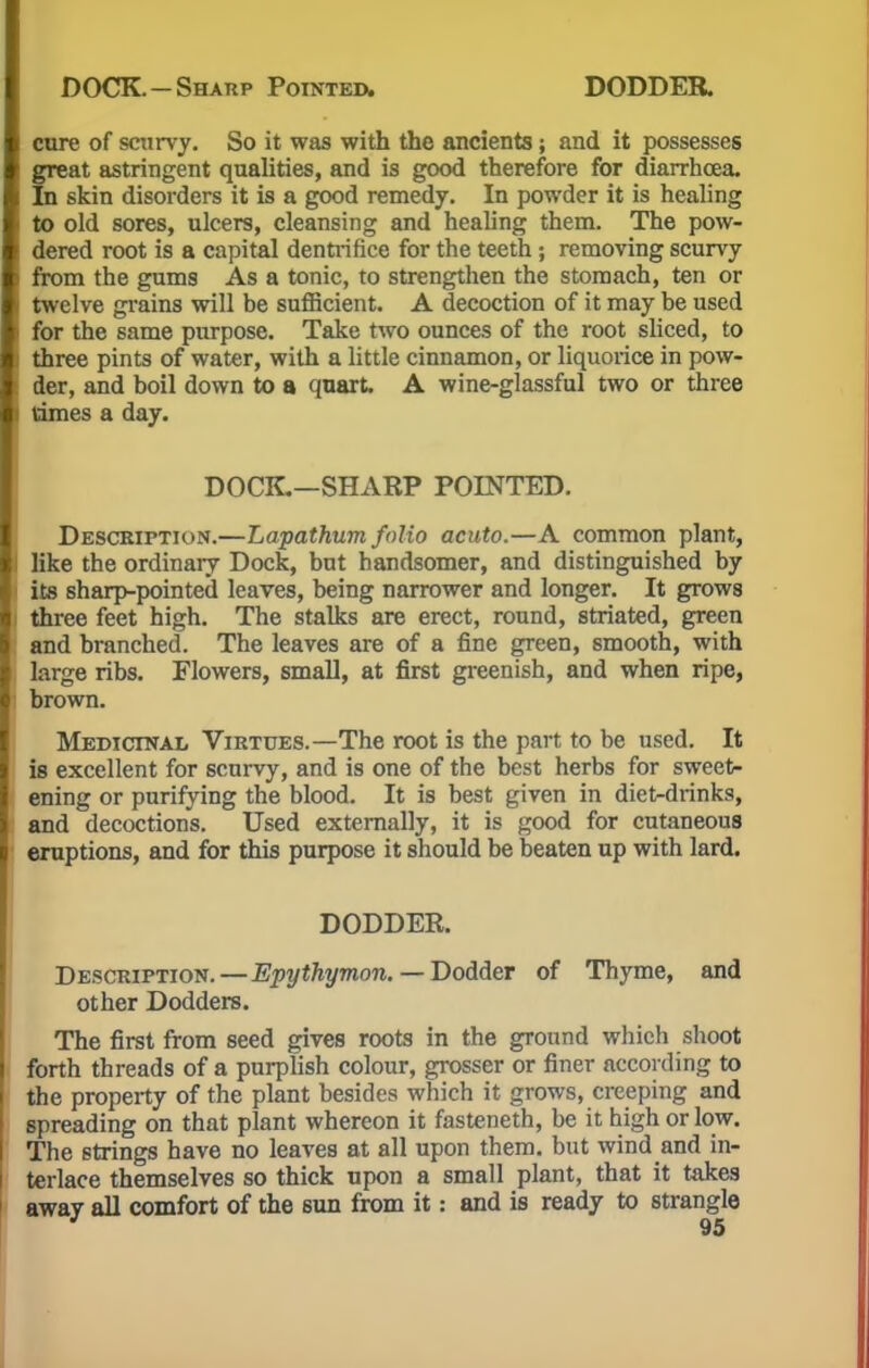 cure of scurvy. So it was with the ancients; and it possesses great astringent qualities, and is good therefore for diarrhoea. In skin disorders it is a good remedy. In powder it is healing to old sores, ulcers, cleansing and healing them. The pow- dered root is a capital dentrifice for the teeth; removing scurvy from the gums As a tonic, to strengthen the stomach, ten or twelve grains will be sufficient. A decoction of it may be used for the same purpose. Take two ounces of the root sliced, to three pints of water, with a little cinnamon, or liquorice in pow- der, and boil down to a quart. A wine-glassful two or three times a day. DOCK.—SHARP POINTED. Description.—Lapathum folio acuto.—A common plant, like the ordinary Dock, but handsomer, and distinguished by ite sharp-pointed leaves, being narrower and longer. It grows three feet high. The stalks are erect, round, striated, green and branched. The leaves are of a fine green, smooth, with large ribs. Flowers, small, at first greenish, and when ripe, brown. Medicinal Virtues.—The root is the part to be used. It is excellent for scurvy, and is one of the best herbs for sweet- ening or purifying the blood. It is best given in diet-drinks, and decoctions. Used externally, it is good for cutaneous eruptions, and for this purpose it should be beaten up with lard. DODDER. Description. — Epythymon. — Dodder of Thyme, and other Dodders. The first from seed gives roots in the ground which shoot forth threads of a purplish colour, grosser or finer according to the property of the plant besides which it grows, creeping and spreading on that plant whereon it fasteneth, be it high or low. The strings have no leaves at all upon them, but wind and in- terlace themselves so thick upon a small plant, that it takes away all comfort of the sun from it: and is ready to strangle