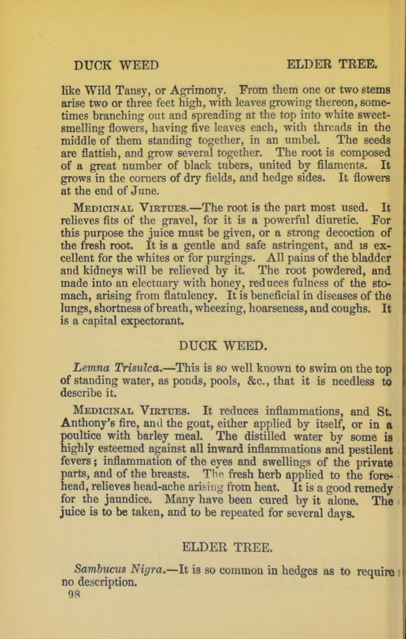DUCK WEED ELDER TREE. like Wild Tansy, or Agrimony. From them one or two stems arise two or three feet high, with leaves growing thereon, some- times branching out and spreading at the top into white sweet- smelling flowers, having five leaves each, with threads in the middle of them standing together, in an umbel. The seeds are flattish, and grow several together. The root is composed of a great number of black tubers, united by filaments. It grows in the corners of dry fields, and hedge sides. It flowers at the end of June. Medicinal Virtues.—The root is the part most used. It relieves fits of the gravel, for it is a powerful diuretic. For this purpose the juice must be given, or a strong decoction of the fresh root. It is a gentle and safe astringent, and is ex- cellent for the whites or for purgings. All pains of the bladder and kidneys will be relieved by it. The root powdered, and made into an electuary with honey, reduces fulness of the sto- mach, arising from flatulency. It is beneficial in diseases of tho lungs, shortness of breath, wheezing, hoarseness, and coughs. It is a capital expectorant. DUCK WEED. Lemna Trisulca.—This is so well known to swim on the top of standing water, as ponds, pools, &c., that it is needless to describe it. Medicinal Virtues. It reduces inflammations, and St. Anthony's fire, and the gout, either applied by itself, or in a poultice with barley meal. The distilled water by some is highly esteemed against all inward inflammations and pestilent fevers; inflammation of the eyes and swellings of the private parts, and of the breasts. The fresh herb applied to the fore- head, relieves head-ache arising from heat. It is a good remedy for the jaundice. Many have been cured by it alone. The juice is to be taken, and to be repeated for several days. ELDER TREE. Sambncus Nigra.—It is so common in hedges as to require no description.