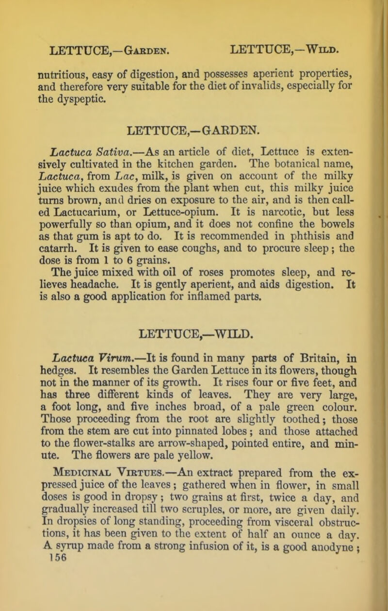 LETTUCE,—Garden. LETTUCE,—Wild. nutritious, easy of digestion, and possesses aperient properties, and therefore very suitable for the diet of invalids, especially for the dyspeptic. LETTUCE,—GARDEN. Lactuca Sativa.—As an article of diet, Lettuce is exten- sively cultivated in the kitchen garden. The botanical name, Lactuca, from Lac, milk, is given on account of the milky juice which exudes from the plant when cut, this milky juice turns brown, and dries on exposure to the air, and is then call- ed Lactucarium, or Lettuce-opium. It is narcotic, but less powerfully so than opium, and it does not confine the bowels as that gum is apt to do. It is recommended in phthisis and catarrh. It is given to ease coughs, and to procure sleep ; the dose is from 1 to 6 grains. The juice mixed with oil of roses promotes sleep, and re- lieves headache. It is gently aperient, and aids digestion. It is also a good application for inflamed parts. LETTUCE,—WILD. Lactuca Virum.—It is found in many parts of Britain, in hedges. It resembles the Garden Lettuce in its flowers, though not in the manner of its growth. It rises four or five feet, and has three different kinds of leaves. They are very large, a foot long, and five inches broad, of a pale green colour. Those proceeding from the root are slightly toothed; those from the stem are cut into pinnated lobes; and those attached to the flower-stalks are arrow-shaped, pointed entire, and min- ute. The flowers are pale yellow. Medicinal Virtues.—An extract prepared from the ex- pressed juice of the leaves ; gathered when in flower, in small doses is good in dropsy ; two grains at first, twice a day, and gradually increased till two scruples, or more, are given daily. In dropsies of long standing, proceeding from visceral obstruc- tions, it has been given to the extent of half an ounce a day. A syrup made from a strong infusion of it, is a good anodyne :