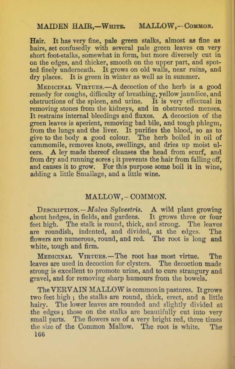 MAIDEN HAIR,—White. MALLOW,-Common. Hair. It has very fine, pale green stalks, almost as fine as hairs, set confusedly with several pale green leaves on very short footstalks, somewhat in form, but more diversely cut in on the edges, and thicker, smooth on the upper part, and spot- ted finely underneath. It grows on old walls, near ruins, and dry places. It is green in winter as well as in summer. Medicinal Virtues.—A decoction of the herb is a good remedy for coughs, difficulty of breathing, yellow jaundice, and obstructions of the spleen, and urine. It is very effectual in removing stones from the kidneys, and in obstructed menses. It restrains internal bleedings and flaxes. A decoction of the green leaves is aperient, removing bad bile, and tough phlegm, from the lungs and the liver. It purifies the blood, so as to give to the body a good colour. The herb boiled in oil of cammomile, removes knots, swellings, and dries up moist ul- cers. A ley made thereof cleanses the head from scurf, and from dry and running sores; it prevents the hair from falling off, and causes it to grow. For this purpose some boil it in wine, adding a little Smallage, and a little wine. MALLOW, - COMMON. Description.—Malva Sylvestris. A wild plant growing about hedges, in fields, and gardens. It grows three or four feet high. The stalk is round, thick, and strong. The leaves are roundish, indented, and divided, at the edges. The flowers are numerous, round, and red. The root is long and white, tough and firm. Medicinal Virtues.—The root has most virtue. The leaves are used in decoction for clysters. The decoction made strong is excellent to promote urine, and to cure strangury and gravel, and for removing sharp humours from the bowels. The VERVAIN MALLOW is common in pastures. It grows two feet high ; the stalks are round, thick, erect, and a little hairy. The lower leaves are rounded and slightly divided at the edges; those on the stalks are beautifully cut into very small parts. The flowers are of a very bright red, three times the size of the Common Mallow. The root is white. The