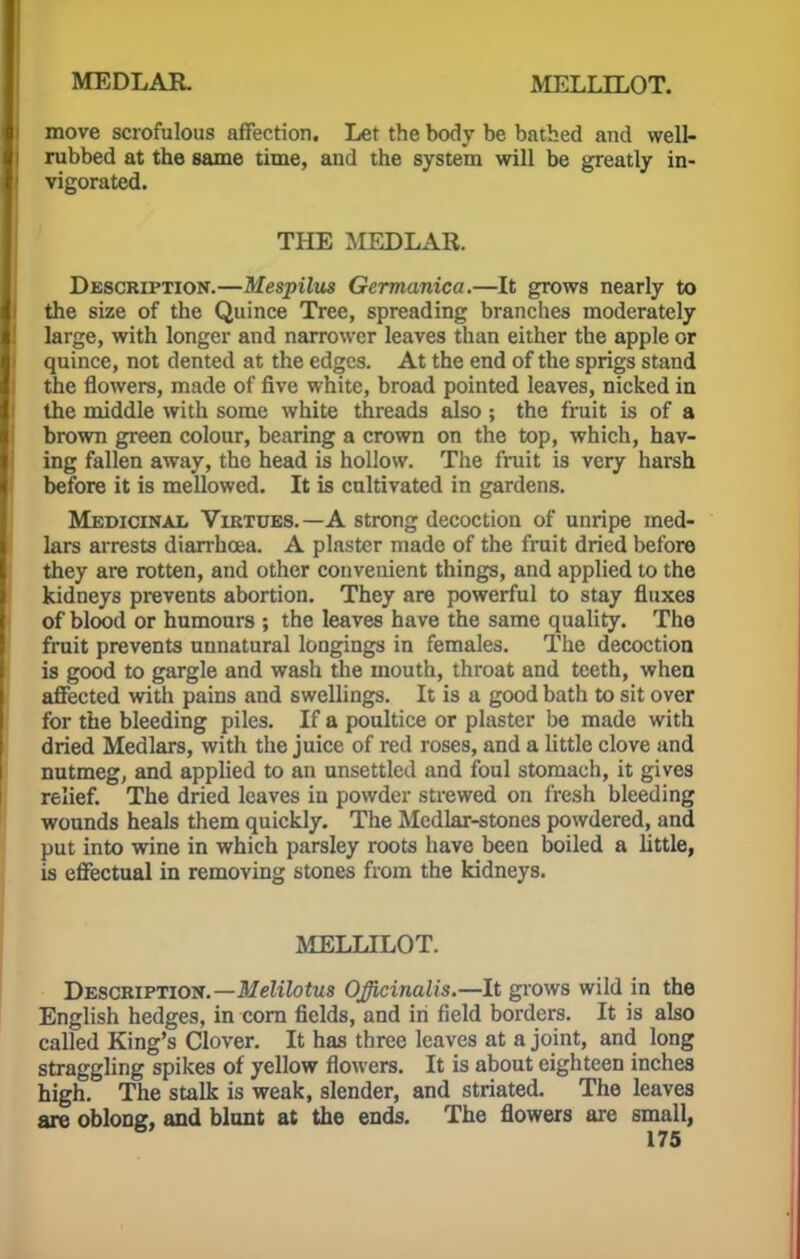 move scrofulous affection. Let the body be bathed and well- rubbed at the same time, and the system will be greatly in- vigorated. THE MEDLAR. Description.—Mespilus Germanica.—It grows nearly to the size of the Quince Tree, spreading branches moderately large, with longer and narrower leaves than either the apple or quince, not dented at the edges. At the end of the sprigs stand the flowers, made of five white, broad pointed leaves, nicked in the middle with some white threads also ; the fruit is of a brown green colour, bearing a crown on the top, which, hav- ing fallen away, the head is hollow. The fruit is very harsh before it is mellowed. It is cultivated in gardens. Medicinal Virtues.—A strong decoction of unripe med- lars arrests diarrhoea. A plaster made of the fruit dried before they are rotten, and other convenient things, and applied to the kidneys prevents abortion. They are powerful to stay fluxes of blood or humours ; the leaves have the same quality. The fruit prevents unnatural longings in females. The decoction is good to gargle and wash the mouth, throat and teeth, when affected with pains and swellings. It is a good bath to sit over for the bleeding piles. If a poultice or plaster be made with dried Medlars, with the juice of red roses, and a little clove and nutmeg, and applied to an unsettled and foul stomach, it gives relief. The dried leaves in powder strewed on fresh bleeding wounds heals them quickly. The Medlar-stones powdered, and put into wine in which parsley roots have been boiled a little, is effectual in removing stones from the kidneys. MELLILOT. Description.—Melilotus Officinalis.—It grows wild in the English hedges, in corn fields, and in field borders. It is also called King's Clover. It has three leaves at a joint, and long straggling spikes of yellow flowers. It is about eighteen inches high. The stalk is weak, slender, and striated. The leaves are oblong, and blunt at the ends. The flowers are small,