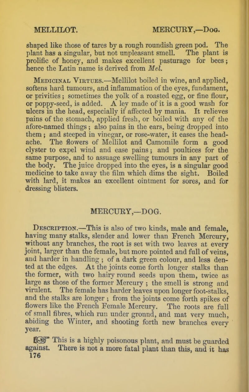 shaped like those of tares by a rough roundish green pod. The plant has a singular, but not unpleasant smell. The plant is prolific of honey, and makes excellent pasturage for bees; hence the Latin name is derived from Mel. Medicinal Virtues.—Mellilot boiled in wine, and applied, softens hard tumours, and inflammation of the eyes, fundament, or privities ; sometimes the yolk of a roasted egg, or fine flour, or poppy-seed, is added. A ley made of it is a good wash for ulcers in the head, especially if affected by mania. It relieves pains of the stomach, applied fresh, or boiled with any of the afore-named things ; also pains in the ears, being dropped into them; and steeped in vinegar, or rose-water, it eases the head- ache. The flowers of Mellilot and Camomile form a good clyster to expel wind and ease pains; and poultices for the same purpose, and to assuage swelling tumours in any part of the body. The juice dropped into the eyes, is a singular good medicine to take away the film which dims the sight. Boiled with lard, it makes an excellent ointment for sores, and for dressing blisters. MERCURY,—DOG. Description.—This is also of two kinds, male and female, having many stalks, slender and lower than French Mercury, without any branches, the root is set with two leaves at every joint, larger than the female, but more pointed and full of veins, and harder in handling ; of a dark green colour, and less den- ted at the edges. At the joints come forth longer stalks than the former, with two hairy round seeds upon them, twice as large as those of the former Mercury ; the smell is strong and virulent. The female has harder leaves upon longer foot-stalks, and the stalks are longer ; from the joints come forth spikes of flowers like the French Female Mercury. The roots are full of small fibres, which run under ground, and mat very much, abiding the Winter, and shooting forth new branches every year. 6§lP This is a highly poisonous plant, and must be guarded against. There is not a more fatal plant than this, aud it has