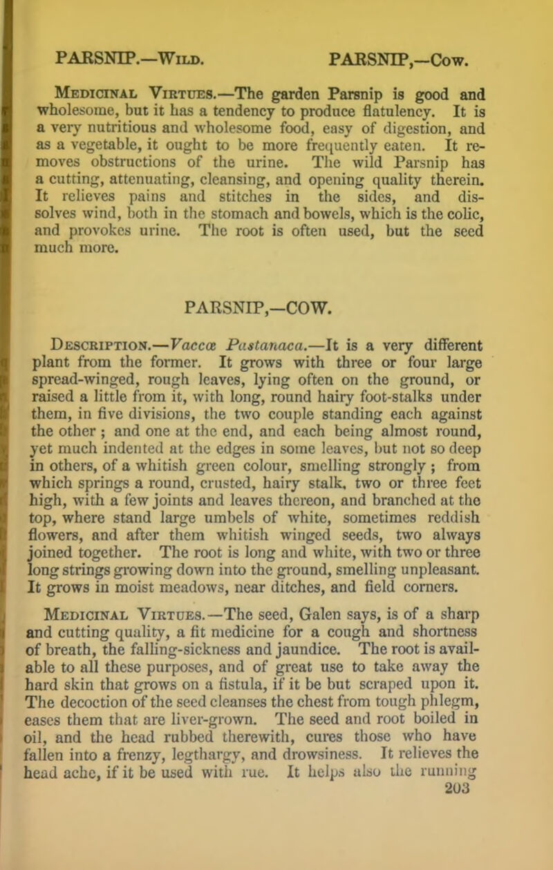 PARSNIP.—Wild. PARSNIP,—Cow. Medicinal Virtues.—The garden Parsnip is good and wholesome, but it has a tendency to produce flatulency. It is a very nutritious and wholesome food, easy of digestion, and as a vegetable, it ought to be more frequently eaten. It re- moves obstructions of the urine. The wild Parsnip has a cutting, attenuating, cleansing, and opening quality therein. It relieves pains and stitches in the sides, and dis- solves wind, both in the stomach and bowels, which is the colic, and provokes urine. The root is often used, but the seed much more. PARSNIP,—COW. Description.—Vaccce Pastanaca.—It is a very different plant from the former. It grows with three or four large spread-winged, rough leaves, lying often on the ground, or raised a little from it, with long, round hairy foot-stalks under them, in five divisions, the two couple standing each against the other ; and one at the end, and each being almost round, yet much indented at the edges in some leaves, but not so deep in others, of a whitish green colour, smelling strongly ; from which springs a round, crusted, hairy stalk, two or three feet high, with a few joints and leaves thereon, and branched at the top, where stand large umbels of white, sometimes reddish flowers, and after them whitish winged seeds, two always joined together. The root is long and white, with two or three long strings growing down into the ground, smelling unpleasant. It grows in moist meadows, near ditches, and field corners. Medicinal Virtues.— The seed, Galen says, is of a sharp and cutting quality, a fit medicine for a cough and shortness of breath, the falling-sickness and jaundice. The root is avail- able to all these purposes, and of great use to take away the hard skin that grows on a fistula, if it be but scraped upon it. The decoction of the seed cleanses the chest from tough phlegm, eases them that are liver-grown. The seed and root boiled in oil, and the head rubbed therewith, cures those who have fallen into a frenzy, legthargy, and drowsiness. It relieves the head ache, if it be used with rue. It helps also the running