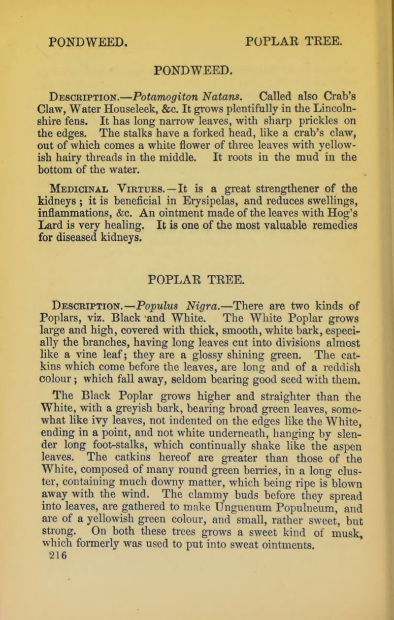 PONDWEED. Description.—Potamogiton Natans. Called also Crab's Claw, Water Houseleek, &c. It grows plentifully in the Lincoln- shire fens. It has long narrow leaves, with sharp prickles on the edges. The stalks have a forked head, like a crab's claw, out of which comes a white flower of three leaves with yellow- ish hairy threads in the middle. It roots in the mud in the bottom of the water. Medicinal Virtues.—It is a great strengthener of the kidneys ; it is beneficial in Erysipelas, and reduces swellings, inflammations, &c. An ointment made of the leaves with Hog's Lard is very healing. It is one of the most valuable remedies for diseased kidneys. POPLAR TREE. Description.—Populus Nigra.—There are two kinds of Poplars, viz. Black and White. The White Poplar grows large and high, covered with thick, smooth, white bark, especi- ally the branches, having long leaves cut into divisions almost like a vine leaf; they are a glossy shining green. The cat- kins which come before the leaves, are long and of a reddish colour; which fall away, seldom bearing good seed with them. The Black Poplar grows higher and straighter than the White, with a greyish bark, bearing broad green leaves, some- what like ivy leaves, not indented on the edges like the White, ending in a point, and not white underneath, hanging by slen- der long foot-stalks, which continually shake like the aspen leaves. The catkins hereof are greater than those of the White, composed of many round green berries, in a long clus- ter, containing much downy matter, which being ripe is blown away with the wind. The clammy buds before they spread into leaves, are gathered to make Unguenum Populueum, and are of a yellowish green colour, and small, rather sweet, but strong. On both these trees grows a sweet kind of musk, which formerly was used to put into sweat ointments.