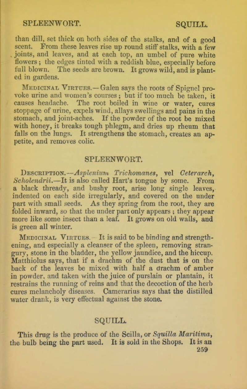 than dill, set thick on hoth sides of the stalks, and of a good scent. From these leaves rise up round stiff stalks, with a few . joints, and leaves, and at each top, an umbel of pure white flowers ; the edges tinted with a reddish blue, especially before lull blown. The seeds are brown. It grows wild, and is plants ed in gardens. Medicinal Virtues.—Galen says the roots of Spigticl pro- voke urine and women's courses ; but if too much be taken, it causes headache. The root boiled in wine or water, cures stoppage of urine, expels wind, allays swellings and pains in the stomach, and joint-aches. If the powder of the root be mixed with honey, it breaks tough phlegm, and dries up rheum that falls on the lungs. It strengthens the stomach, creates an ap- petite, and removes colic. SPLEENWORT. Description.—Aspleniuvt Trichomanes, vel Ceterarch, Scholendrii.—It is also called Hart's tongue by some. From a black thready, and bushy root, arise long single leaves, indented on each side irregularly, and covered on the under part with small seeds. As they spring from the root, they are folded inward, so that the under part only appears ; they appear more like some insect than a leaf. It grows on old walls, and is green all winter. Medicinal Virtues. It is said to be binding and strength- ening, and especially a cleanser of the spleen, removing stran- gury, stone in the bladder, the yellow jaundice, and the hiccup. Matthiolus says, that if a drachm of the dust that is on the back of the leaves be mixed with half a drachm of amber in powder, and taken with the juice of purslain or plantain, it restrains the running of reins and that the decoction of the herb cures melancholy diseases. Camerarius says that the distilled water drank, is very effectual against the stone. SQUILL. This drag is the produce of the Scilla, or Squilla Maritima, the bulb being the part used. It is sold in the Shops. It is an