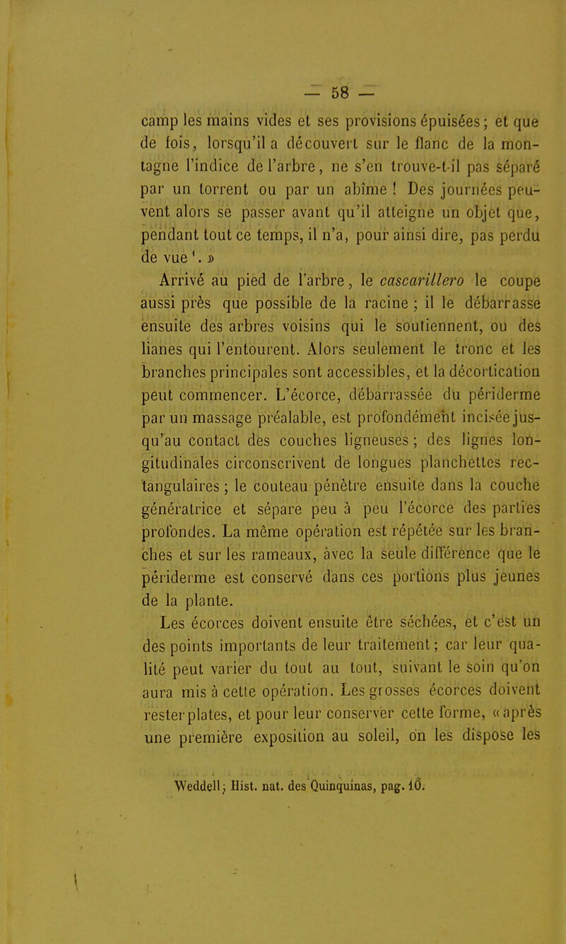 camp les mains vicies et ses provisions épuisées ; et que de fois, lorsqu'il a découvert sur le flanc de la mon- tagne l'indice de l'arbre, ne s'en trouve-t-il pas séparé par un torrent ou par un abîme ! Des journées peu- vent alors se passer avant qu'il atteigne un objet que, pendant tout ce temps, il n'a, pour ainsi dire, pas perdu de vue1. » Arrivé au pied de l'arbre, le cascarillero le coupe aussi près que possible de la racine ; il le débarrasse ensuite des arbres voisins qui le soutiennent, ou des lianes qui l'entourent. Alors seulement le tronc et les branches principales sont accessibles, et la déeortication peut commencer. L'écorce, débarrassée du périderme par un massage préalable, est profondément incisée jus- qu'au contact des couches ligneuses ; des lignes lon- gitudinales circonscrivent de longues planchettes rec- tangulaires ; le couteau pénètre ensuite dans la couche génératrice et sépare peu à peu l'écorce des parties profondes. La même opération est répétée sur les bran- ches et sur les rameaux, avec la seule différence que le périderme est conservé dans ces portions plus jeunes de la plante. Les écorces doivent ensuite être séchées, et c'est un des points importants de leur traitement; car leur qua- lité peut varier du tout au tout, suivant le soin qu'on aura mis à cette opération. Les grosses écorces doivent resterplales, et pour leur conserver cette forme, «après une première exposition au soleil, on les dispose les Weddell; Hist. nat. des Quinquinas, pag. 10. \
