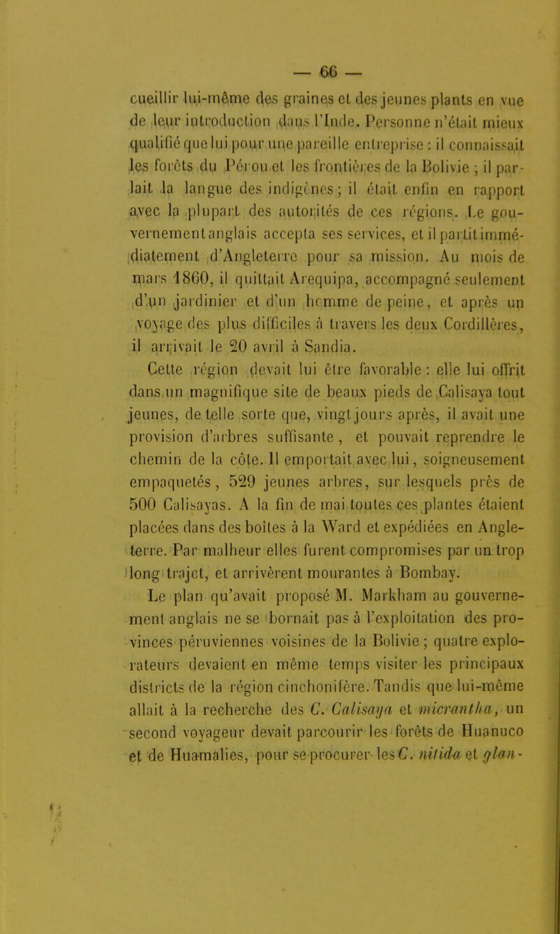 cueillir lui-même des graines et des jeunes plants en vue de leur introduction dans l'Inde. Personne n'était mieux qualifié que lui pour une pareille entreprise : il connaissait les forets du Pérou et les frontières de la Bolivie ; il par- lait ,1a langue des indigènes; il était enfin en rapport a,vec la plupart des autorités de ces régions. Le gou- vernementanglais accepta ses services, et il partit immé- diatement d'Angleterre pour sa mission. Au mois de mars 1860, il quittait Arequipa, accompagné seulement d'un jardinier et d'un hcmme de peine, et après un voyage des plus difficiles à travers les deux Cordillères, il arrivait le 20 avril à Sandia. Cette région devait lui être favorable : elle lui offrit dans un magnifique site de beaux pieds de Calisaya tout jeunes, dételle sorte que, vingt jours après, il avait une provision d'arbres suffisante, et pouvait reprendre le chemin de la côte. 11 emportait avec lui, soigneusement empaquetés, 529 jeunes arbres, sur lesquels près de 500 Calisayas. A la fin de mai toutes ces plantes étaient placées dans des boîtes à la Ward et expédiées en Angle- terre. Par malheur elles furent compromises par un trop long trajet, et arrivèrent mourantes à Bombay. Le plan qu'avait proposé M. Markham au gouverne- ment anglais ne se bornait pas à l'exploitation des pro- vinces péruviennes voisines de la Bolivie; quatre explo- rateurs devaient en même temps visiter les principaux districts de la région cinchonifère. Tandis que lui-même allait à la recherche des C. Calisaya et micrantha, un second voyageur devait parcourir les forêts de Huanuco et de Huamalies, pour se procurer les'C nilida et ghm-