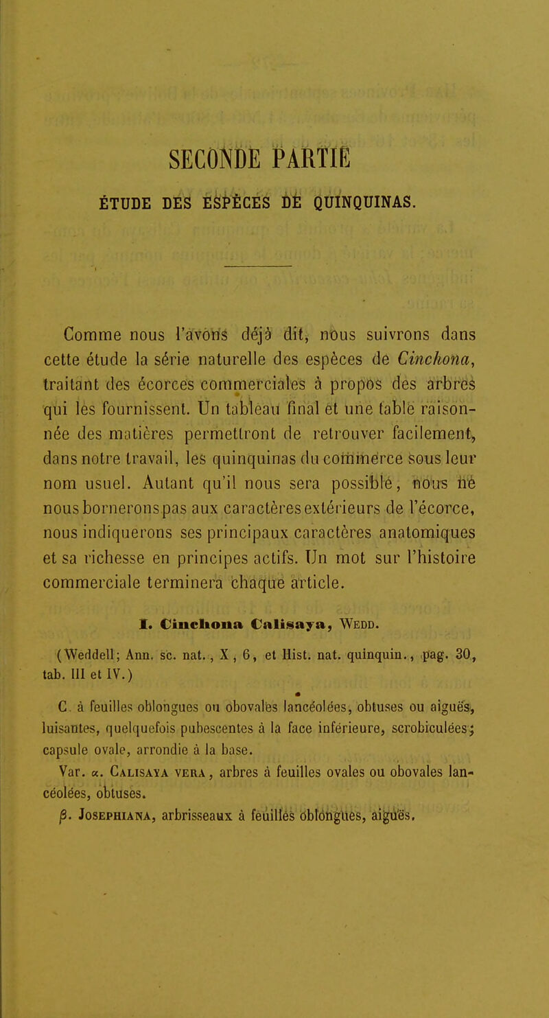 SECONDE PARTIE ÉTUDE DES ESPÈCES DE QUINQUINAS. Comme nous l'avons déjà dit, nous suivrons dans cette étude la série naturelle des espèces de Cinchona, traitant des écorces commerciales à propos des arbres qui les fournissent. Un tableau final et une table raison- née des matières permettront de retrouver facilement, dans notre travail, les quinquinas du commerce sous leur nom usuel. Autant qu'il nous sera possible, nous ne nousbornerons pas aux caractères extérieurs de Técorce, nous indiquerons ses principaux caractères anatomiques et sa richesse en principes actifs. Un mot sur l'histoire commerciale terminera chaque article. I. Ciiicltona Calisaya, Wedd. (Weddell; Ann. se. nat., X , 6, et Hist. nat. quinquin., pag. 30, tab. 111 et IV.) C à feuilles oblongues ou obovales lancéolées, obtuses ou aiguës, luisantes, quelquefois pubescentes à la face inférieure, scrobiculées ; capsule ovale, arrondie à la base. Var. «. Calisaya vera, arbres à feuilles ovales ou obovales lan- céolées, obtuses. p. Josephiana, arbrisseaux à feuilles oblongues, aiguës.