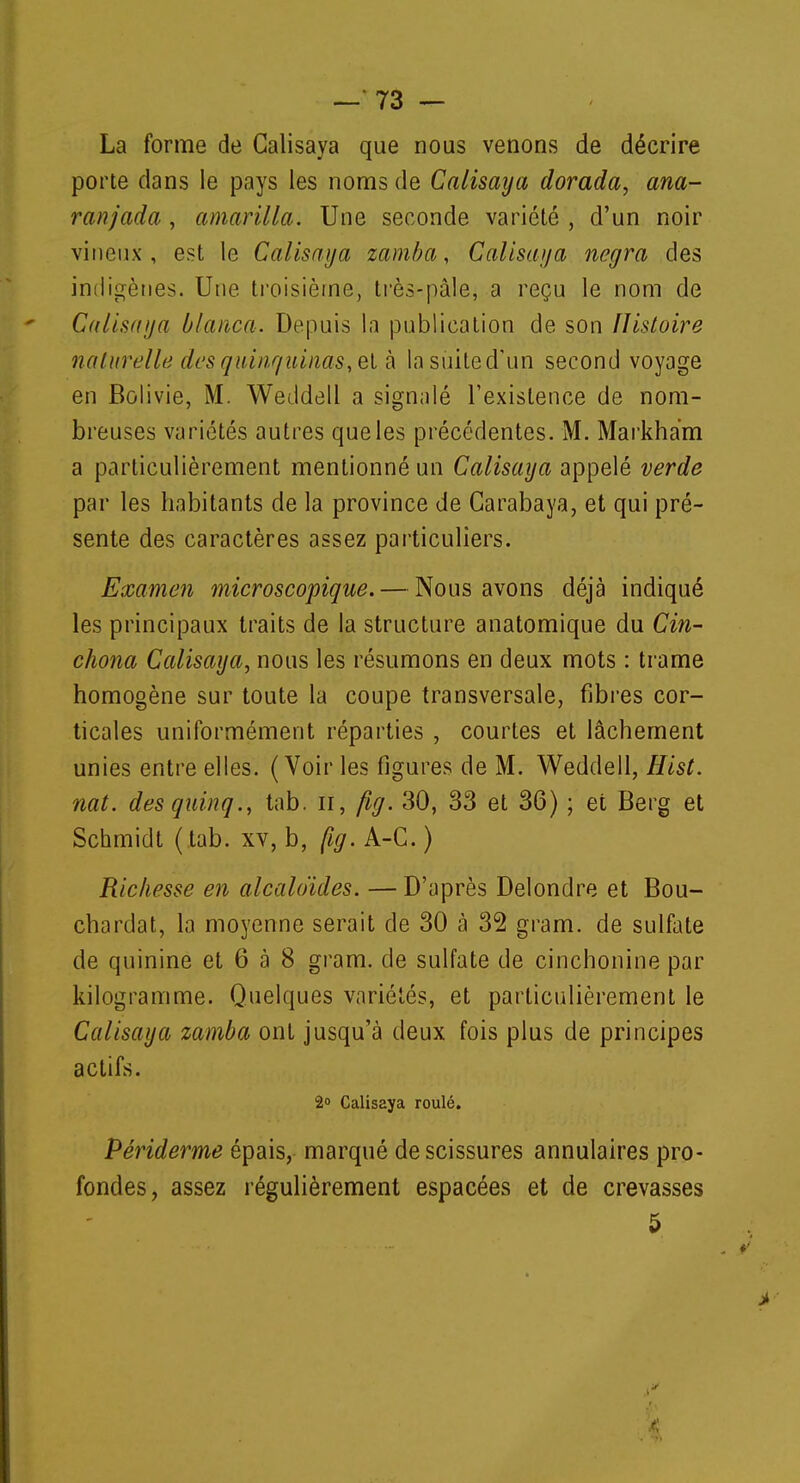 La forme de Galisaya que nous venons de décrire porte dans le pays les noms de Calisaya dorada, ana- ranjada, amariUa. Une seconde variété , d'un noir vineux , est le Calisaya zamba, Calisaya negra des indigènes. Une troisième, très-pâle, a reçu le nom de Calisaya blanca. Depuis ln publication de son Histoire naturelle des quinquinas, et à lasuited'un second voyage en Bolivie, M. Weddell a signnlé l'existence de nom- breuses variétés autres que les précédentes. M. Markham a particulièrement mentionné un Calisaya appelé verde par les habitants de la province de Carabaya, et qui pré- sente des caractères assez particuliers. Examen microscopique. — Nous avons déjà indiqué les principaux traits de la structure anatomique du Cin- chona Calisaya, nous les résumons en deux mots : trame homogène sur toute la coupe transversale, fibres cor- ticales uniformément réparties , courtes et lâchement unies entre elles. (Voir les figures de M. Weddell, Hist. nat. desquinq., tab. n, fig. 30, 33 et 36) ; et Berg et Schmidt (tab. xv, b, fig. A-C. ) Richesse en alcaloïdes. — D'après Delondre et Bou- chardat, la moyenne serait de 30 à 32 gram. de sulfate de quinine et 6 à 8 gram. de sulfate de cinchonine par kilogramme. Quelques variétés, et particulièrement le Calisaya zamba ont jusqu'à deux fois plus de principes actifs. 2° Calisaya roulé. Périderme épais, marqué de scissures annulaires pro- fondes, assez régulièrement espacées et de crevasses 5