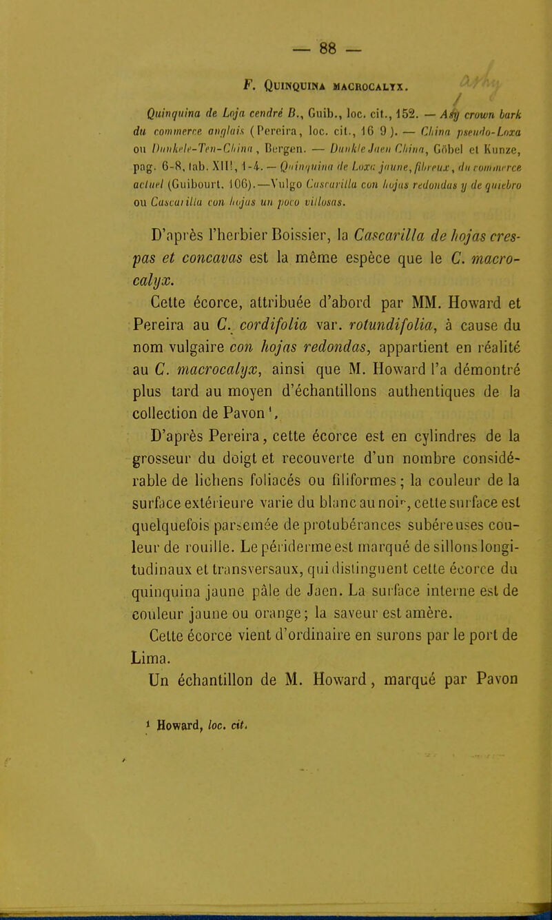 F. Quinquina macrocaltx. / ' Quinquina de Loja cendré B., Guib., loc. cit., 152. — Agy cruwn burk du commerce anglais (Pereira, loc. cit., 16 9). — China pseudo-Loxa ou DunkeU-Ten-China, Bergen. — DunkleJuen China, Gobel et Kunze, pag. 6-8, lab. Xll!, 1-4. — Quinquina de Luxa jaune, fibreux-, du romiiurce actuel (Guibourt. 106).—Vulgo Çuscurilla con hujus redoudas y de quubro ou Cascuiillu con hujus un poco villosas. D'après l'herbier Boissier, la Cascarilla de îtojas cres- pas et concavas est la même espèce que le C. macro- calyx. Celte écorce, attribuée d'abord par MM. Howard et Pereira au C. cordifolia var. rotundifolia, à cause du nom vulgaire con hojas redondas, appartient en réalité au C. macrocalyx, ainsi que M. Howard l'a démontré plus tard au moyen d'échantillons authentiques de la collection de Pavon V D'après Pereira, cette écorce est en cylindres de la grosseur du doigt et recouverte d'un nombre considé- rable de lichens foliacés ou filiformes; la couleur de la surface extérieure varie du blanc au noip, cette surface est quelquefois parsemée de protubérances subéreuses cou- leur de rouille. Le périderme est marqué de sillons longi- tudinaux et transversaux, qui distinguent cette écorce du quinquina jaune pâle de Jaen. La surface interne est de couleur jaune ou orange; la saveur estamère. Cette écorce vient d'ordinaire en surons par le port de Lima. Un échantillon de M. Howard, marqué par Pavon