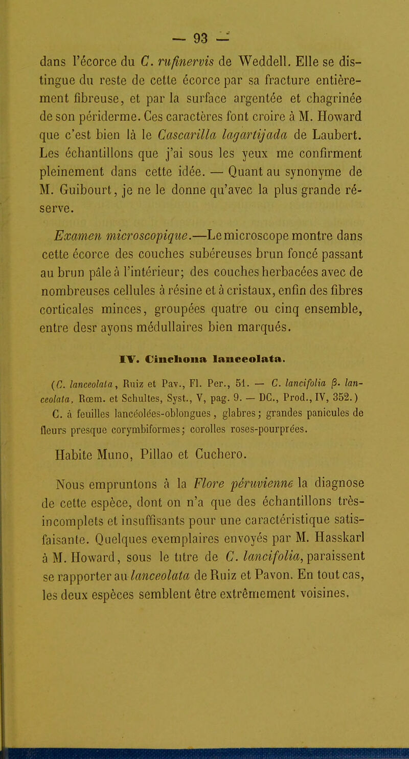 dans l'écorce du C. rufinervis de Weddell. Elle se dis- tingue du reste de cette écorce par sa fracture entière- ment fibreuse, et parla surface argentée et chagrinée de son périderme. Ces caractères font croire à M. Howard que c'est bien là le Cascarilla lagartijada de Laubert. Les échantillons que j'ai sous les yeux me confirment pleinement dans cette idée. — Quant au synonyme de M. Guibourt, je ne le donne qu'avec la plus grande ré- serve. Examen microscopique.—Le microscope montre dans cette écorce des couches subéreuses brun foncé passant au brun pâle à l'intérieur; des couches herbacées avec de nombreuses cellules à résine et à cristaux, enfin des fibres corticales minces, groupées quatre ou cinq ensemble, entre desr ayons médullaires bien marqués. IV. Ciiicliona lanceolata. (G. lanceolala, Ruiz et Pav., Fl. Per., 51. — C. lancifolia /3. lan- ceolata, Rœm. et Schultes, Syst., V, pag. 9. — DC, Prod.,IV, 352.) C. à feuilles lancéolées-oblongues, glabres; grandes panicules de fleurs presque corymbiformes; corolles roses-pourprées. Habite Muno, Pillao et Cuchero. Nous empruntons à la Flore péruvienne la diagnose de cette espèce, dont on n'a que des échantillons très- incomplets et insuffisants pour une caractéristique satis- faisante. Quelques exemplaires envoyés par M. Hasskarl à M. Howard, sous le titre de C. lancifolia, paraissent se rapporter mlanceolata de Ruiz et Pavon. En tout cas, les deux espèces semblent être extrêmement voisines.