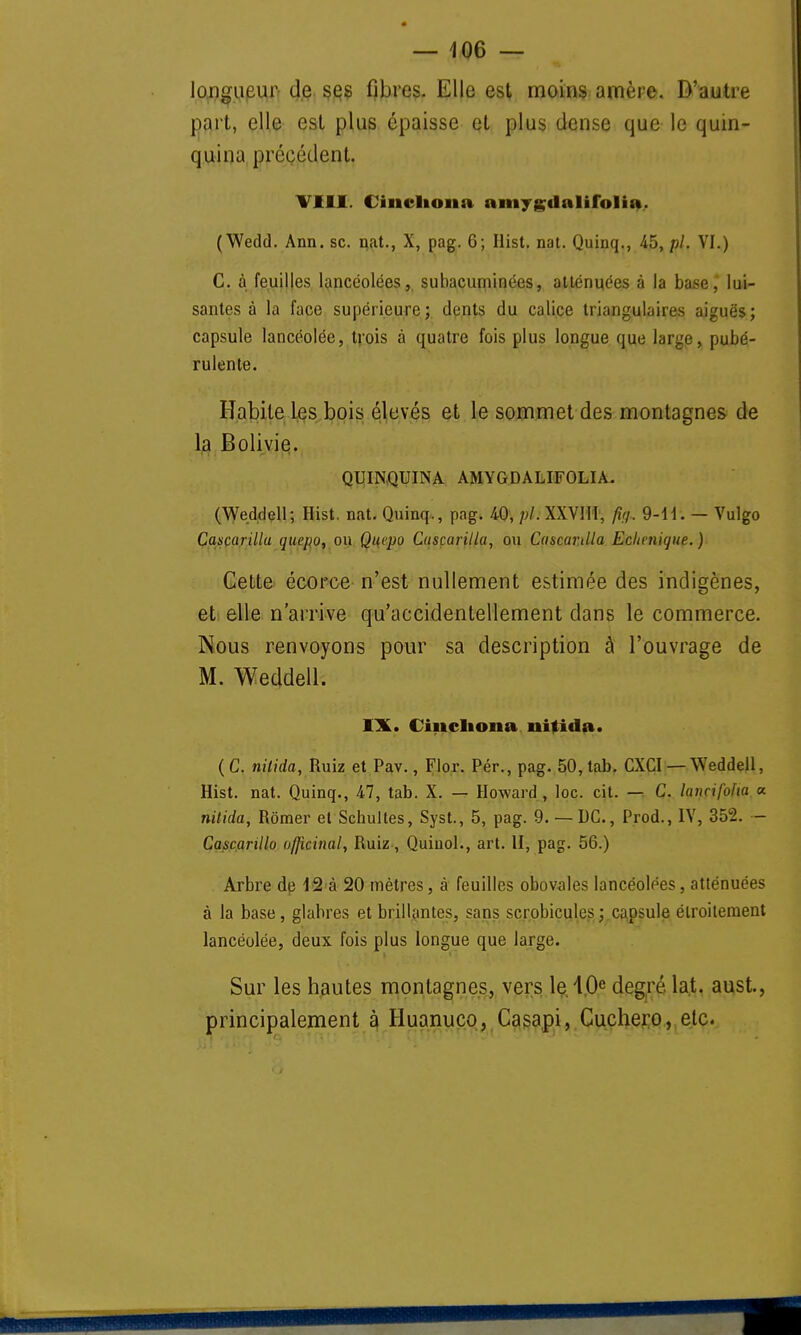 longueur- cfô. §gç fibres. Elle est moins amère. D'autre part, elle est plus épaisse et plus dense que le quin- quina précédent. VIII. Cineliona amygualifolia. (Wedd. Ann. se. nat., X, pag. 6; Ilist. nal. Quinq., 45, pl. VI.) C. à feuilles lancéolées, subacuminées, atténuées à la base, lui- santes à la face supérieure ; dents du calice triangulaires aiguës ; capsule lancéolée, trois à quatre fois plus longue que large, pubé- rulente. Habile les bois élevés et le sommet des montagnes de la Bolivie. QUINQUINA AMYGDALIFOLIA. (Weddell; Ilist. nat. Quinq., pag. 40, pli XXVIII, fa 9-H. — Vulgo Cascarilla quepo, ou Quepo Cascarilla, ou Cascartlla Ecltenique. ) Cette écoree n'est nullement estimée des indigènes, et elle n'arrive qu'accidentellement dans le commerce. Nous renvoyons pour sa description à l'ouvrage de M. Weddell. 1%. Cincliona nitirfu. ( C. nitida, Ruiz et Pav., Flor. Pér., pag. 50, tab. CXCI — Weddell, Hist. nat. Quinq., 47, tab. X. — Howard , loc. cit. — C. lannfolta « nitida, Rômer et Schultes, Syst., 5, pag. 9. — DC., Prod., Vf, 35°2. - Cascarillo officinal, Ruiz, Quiuol., art. II, pag. 56.) Arbre de 12 à 20 mètres, à feuilles obovales lancéolées, atténuées à la base, glabres et brillantes, sans scrobicules ; capsule étroitement lancéolée, deux fois plus longue que large. Sur les hautes montagnes, vers le 4,0e degré lat. aust., principalement à Huanuco, Casapi, Cuchero, etc.