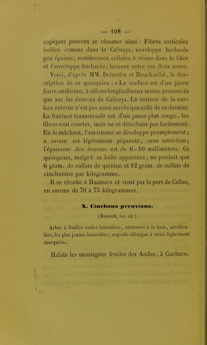 copiques peuvent se résumer ainsi : Fibres corticales isolées comme dans le Calisayo; enveloppe herbacée peu épaisse; nombreuses cellules à résine dans le liber et l'enveloppe herbacée; lacunes entre ces deux zones. Voici, d'après MM. Delondre et Bouchardat, la des- cription de ce quinquina : «La surface est d'un jaune fauve uniforme, à sillons longitudinaux moins prononcés que sur les écorces de Calisaya. La texture de la sur- face externe n'est pas aussi serrée que celle de ce dernier. La fracture transversale est d'un jaune plus rouge, les fibres sont courtes, mais ne se détachant pas facilement. En le mâchant, l'amertume se développe promptement; a saveur est légèrement piquante, sans astriction; l'épaisseur des écorces est de 6-10 millimètres. Ce quinquina, malgré sa belle apparence, ne produit que 6 gram. de sulfate de quinine et 12 gram. de sulfate de cinchonine par kilogramme. 11 se récolte à Huanuco et vient par le port de Callao, en surons de 70 à 75 kilogrammes. X.. CincHona pcruviaita. (Howard, loc. cit.) Arbre à feuilles ovales lancéolées, atténuées à la base, scrobicu- lées, les plus jeunes lancéolées; capsule oblongue à stries légèrement marquées. Habite les montagnes froides des Andes, à Cuchero.
