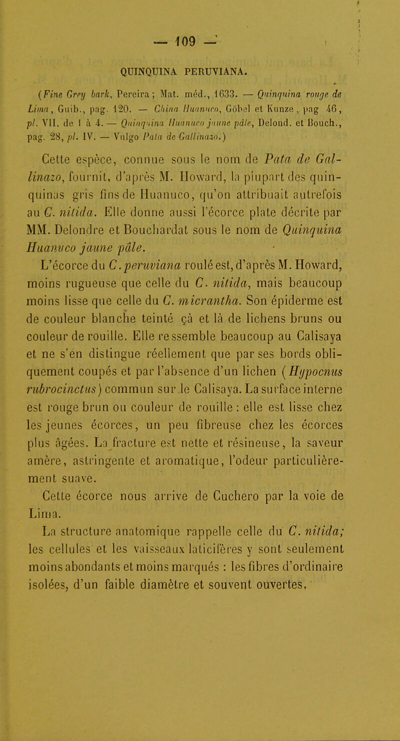 J ■t — io9 y J QUINQUINA PERUVIANA. (Fine Grey bark, Pereira ; Mat. méd., 1633. — Quinquina rouge de Lima, Guib., pag. 120. — Chinu Huanuco, Gobel et Kunze , pag 46, pl. VII. de 1 à 4. — Quinquina Huanuco jaune pâli', Delond. et Bouch., pag. 28, pl. IV. — Vulgo Pala de Gallinazo.) Cette espèce, connue sous le nom de Pata de Gal- linazo, fournit, d'après M. Howard, la plupart des quin- quinas gris fins de Huanuco, qu'on attribuait autrefois au G. nitida. Elle donne aussi l'écorce plate décrite par MM. Delondre et Bouchardat sous le nom de Quinquina Huanuco jaune pâle. L'écorce du C. peruviana roulé est, d'après M. Howard, moins rugueuse que celle du C. nitida, mais beaucoup moins lisse que celle du C. micrantha. Son épiderme est de couleur blanche teinté çà et là de lichens bruns ou couleur de rouille. Elle ressemble beaucoup au Calisaya et ne s'en distingue réellement que par ses bords obli- quement coupés et par l'absence d'un lichen (Hypocnus rubrocinctus) commun sur le Calisaya. La surface interne est rouge brun ou couleur de rouille : elle est lisse chez les jeunes écorces, un peu fibreuse chez les écorces plus âgées. La fracture est nette et résineuse, la saveur amère, astringente et aromatique, l'odeur particulière- ment suave. Cette écorce nous arrive de Cuchero par la voie de Lima. La structure anatomique rappelle celle du C. nitida; les cellules et les vaisseaux laLicifères y sont seulement moins abondants et moins marqués : les fibres d'ordinaire isolées, d'un faible diamètre et souvent ouvertes.