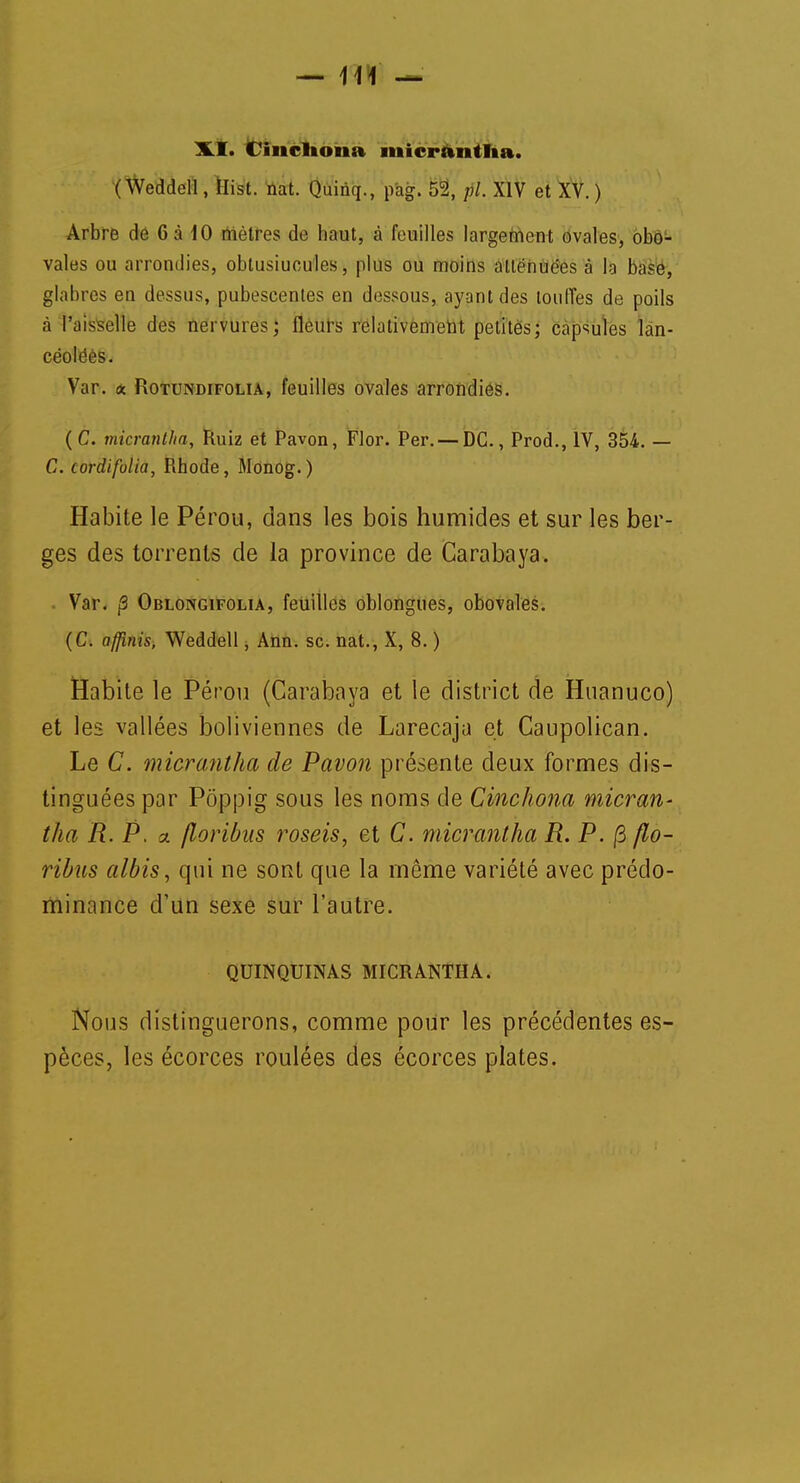 — \\\ XI. Cinclioiia micrantha. ( Wcddell, Hist. nat. Quinq., pàg. 52, pl. XIV et XV. ) Arbre de 6 à 10 mètres de haut, a feuilles largement ovales, obo- vales ou arrondies, oblusiuculcs, plus ou moins allénuëes à la base, glabres en dessus, pubescentes en dessous, ayant des touffes de poils à l'aisselle des nervures; fleurs relativement petites; capsules ï'ân- cëoléès. Var. a Rotundifolia, feuilles ovales arrondies. (C. micrantlia, Ruiz et Pavon, Flor. Per. — DC, Prod., IV, 354. — C. (ordifulia, Rhode, Monog. ) Habite le Pérou, dans les bois humides et sur les ber- ges des torrents de la province de Carabaya. Var. p Oblongifolia, feuilles oblongues, obovales. (C. affinis, Weddell, Ann. se. nat., X, 8. ) Habite le Pérou (Carabaya et le district de Huanuco) et les vallées boliviennes de Larecaja et Caupolican. Le C. micrantha de Pavon présente deux formes dis- tinguées par Pôppig sous les noms de Cinchona micran- tha R. P. a /loribas roseis, et C. micrantha R. P. fi flo- ribus albis, qui ne sont que la même variété avec prédo- minance d'un sexe sur l'autre. QUINQUINAS MICRANTHA. Nous distinguerons, comme pour les précédentes es- pèces, les écorces roulées des écorces plates.