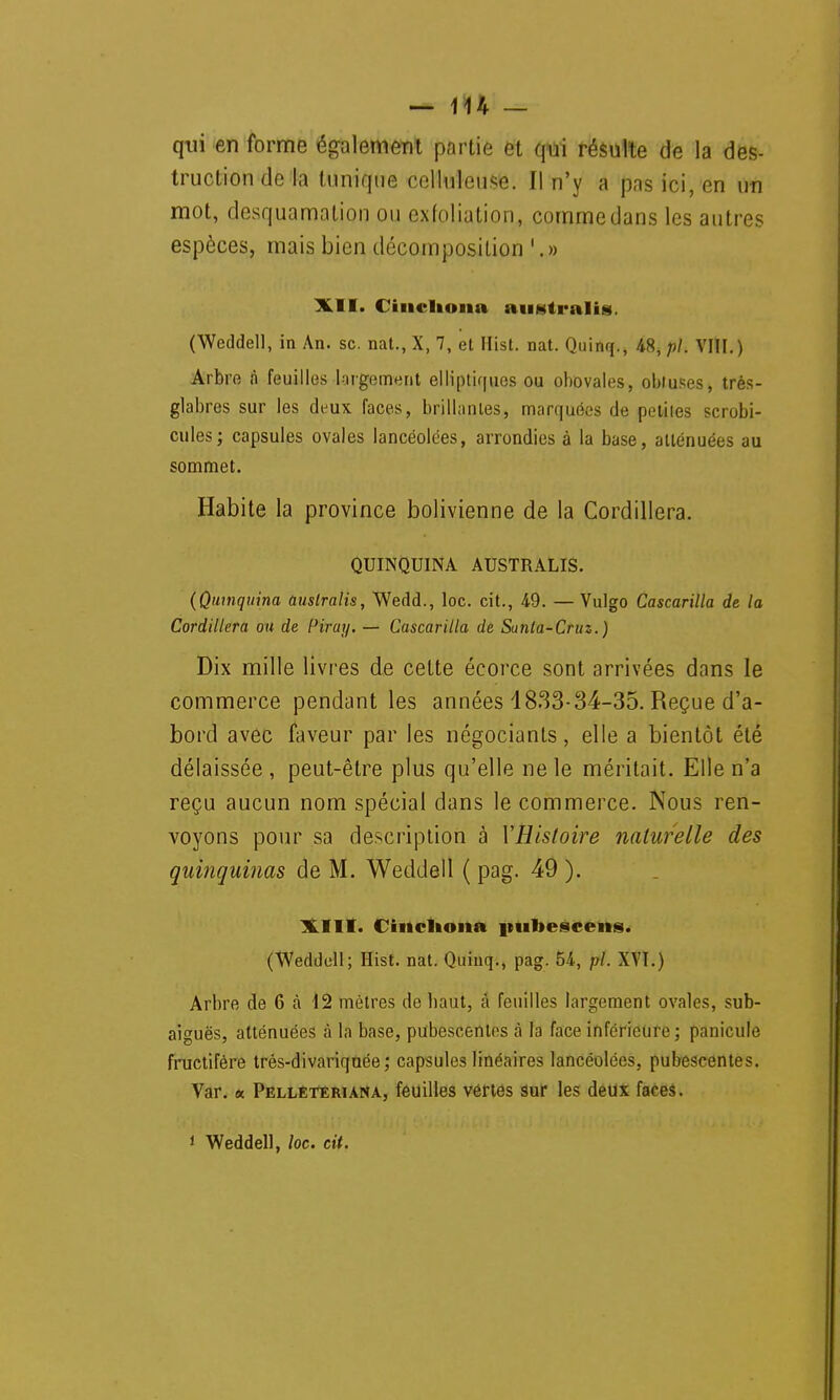 qui en forme également partie et (fini résulte de la des- truction de la tunique celluleuse. Il n'y a pas ici, en un mot, desquamation ou exfoliation, comme dans les autres espèces, mais bien décomposition '.» XII. Cinclioita aiiMtralis. (Weddell, in An. se. nat., X, 7, et Hist. nat. Quinq., 48, pl. VIII.) Arbre à feuilles largement elliptiques ou obovales, obfuses, très- glabres sur les deux faces, brillantes, marquées de petiies sa Vi- eilles; capsules ovales lancéolées, arrondies à la base, atténuées au sommet. Habite la province bol ivienne de la Corddlera. QUINQUINA AUSTRALIS. (Quinquina australis, Wedd., loc. cit., 49. — Vulgo Cascarilla de la Cordillera ou de P'iray. — Cascarilla de Sunta-Cruz.) Dix mille livres de cette écorce sont arrivées dans le commerce pendant les années 4833-34-35. Reçue d'a- bord avec faveur par les négociants, elle a bientôt été délaissée , peut-être plus qu'elle ne le méritait. Elle n'a reçu aucun nom spécial dans le commerce. Nous ren- voyons pour sa description à YHistoire naturelle des quinquinas de M. Weddell ( pag. 49 ). XIII. Cinclioita itiibescens. (Weddell; Hist. nat. Quinq., pag. 54, pl. XVI.) Arbre de 6 à 12 mètres de baut, â feuilles largement ovales, sub- aiguës, atténuées à la base, pubescenles à la face inférieure ; panicule fructifère très-divariqoée; capsules linéaires lancéolées, pubescentes. Var. a Pellêteriana, feuilles vertes sur les deux faces.