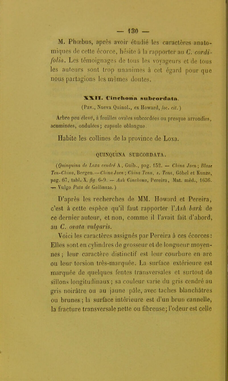 M. Phœbus, après avoir étudié les caractères anato- miques de cette écorce, hésite à l'a rapporter au C. cordi- folia. Les témoignages de tous les voyageurs et de tous les auteurs sont trop unanimes à cet égard pour que nous partagions les mêmes doutes. XXII. Clncliona sultcordata. (Pav., Nueva Quinol., ex Howard, loc. cit. ) Arbre peu élevé, à feuilles ovales subcordées ou presque arrondies, acuminées, ondulées; capsule oblongue. Habite les collines de la province de Loxa. QUINQUINA SUBCOPDATA. (Quinquina de Loxa cendré A, Guib., pag. 152. — China Jaen; Blase Ten-China, Bergen.—China Jaen ; China Tenu, s. Tena, Gôbel et Knnze, pag. 67, tabl. X, fig 6-9. — Ash Cinchona, Pereira, Mat. méd., 1636. -— Vulgo Pala de Gallinazo. ) D'après les recherches de MM. Howard et Pereira, c'est à cette espèce qu'il faut rapporter Y Ash bark de ce dernier auteur, et non, comme il l'avait fait d'abord, au C. ovata vulgaris. Voici les caractères assignés par Pereira à ces écorces: Elles sont en cylindres de grosseur et de longueur moyen- nos ; leur caractère distinctif est leur courbure en arc ou leur torsion très-marquée. La surface extérieure est marquée de quelques fentes transversales et surtout de sillons longitudinaux; sa couleur varie du gris cendré au gris noirâtre ou au jaune pâle, avec taches blanchâtres ou brunes; la surface intérieure est d'un brun cannelle, la fracture transversale nette ou fibreuse; l'odeur est celle