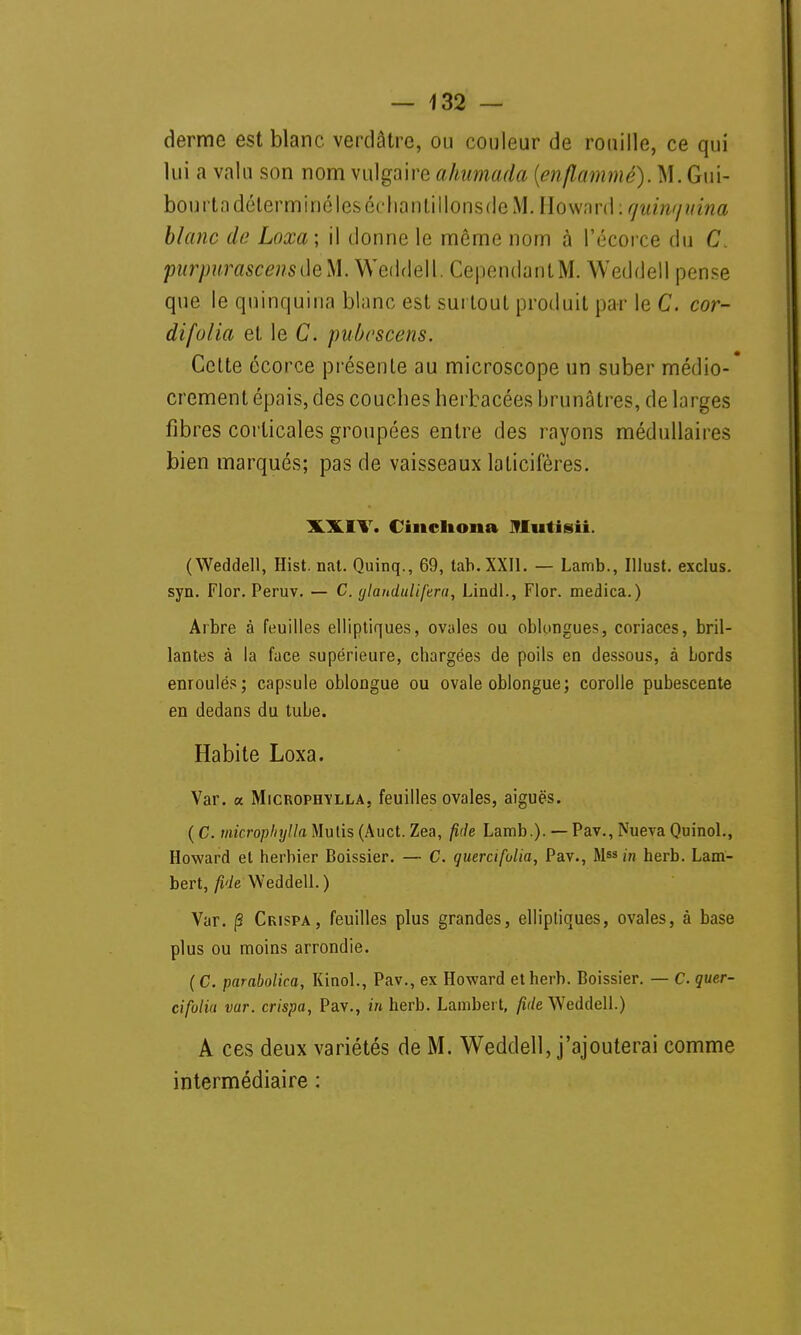 derme est blanc verdâtre, ou couleur de rouille, ce qui lui a valu son nom vulgaire ahumada {enflammé). M. Gui- bourtadélerminéleséchantillonsdeM. Wownvà: quimjuina blanc de Loxa; il donne le même nom à l'écorce du C. pitrpurascensôeM. Weddell. CependanlM. Weddell pense que le quinquina blanc est surtout produit par le C. cor- difolia et le C. pubcscens. Celte écorce présente au microscope un suber médio- crement épais, des couches herbacées brunâtres, de larges fibres corticales groupées entre des rayons médullaires bien marqués; pas de vaisseaux laticifères. XXIV. Ciiieliona Ulutisii. (Weddell, Hist. nat. Quinq., 69, tah.XXIl. — Lamb., Illust. exclus, syn. Flor. Peruv. — C. ylandulifera, Lindl., Flor. medica.) Arbre à feuilles elliptiques, ovales ou oblongues, coriaces, bril- lantes à la face supérieure, chargées de poils en dessous, à Lords enroulés; capsule oblongue ou ovale oblongue; corolle pubescente en dedans du tube. Habite Loxa. Var. a Microphylla, feuilles ovales, aiguës. ( C. microphylla Mutis (Auct. Zea, fuie Lamb.). — Pav., Nueva Quinol., Howard et herbier Boissier. — C. guercifolia, Pav., Mss in herb. Lam- bert, fuie Weddell. ) Var. /3 Crispa, feuilles plus grandes, elliptiques, ovales, à base plus ou moins arrondie. ( C. parabolica, Kinol., Pav., ex Howard et herb. Boissier. — C. quer- cifulia var. crispa, Pav., in herb. Lambert, fuie Weddell.) A ces deux variétés de M. Weddell, j'ajouterai comme intermédiaire :