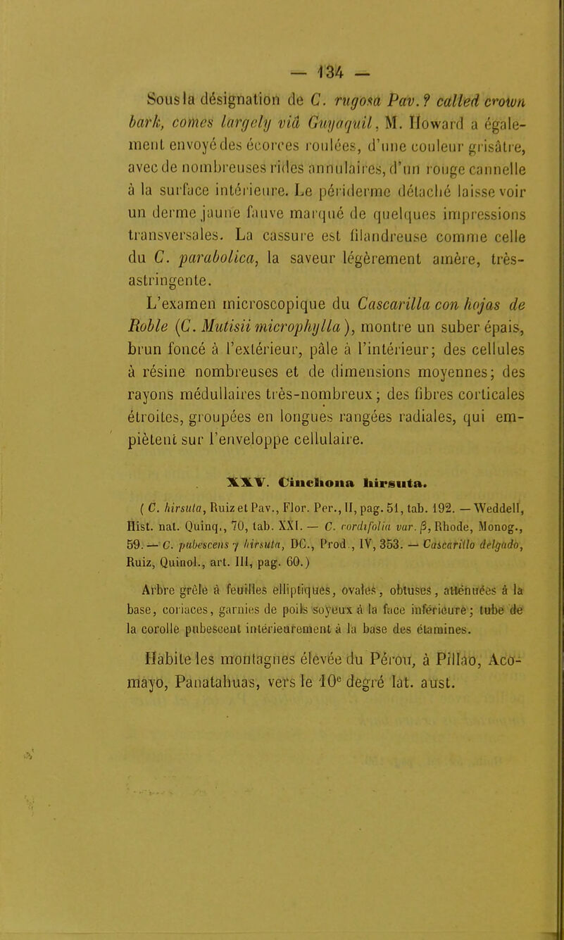 Sous la désignation de C. rugosa Pav. ? called crown bark, cornes largcly via Guyaqnil, M. Howard a égale- ment envoyé des écorces roulées, d'une couleur grisâtre, avec de nombreuses rides annulaires, d'un rouge cannelle à la surface intérieure. Le périderme détaché laisse voir un derme jaune fauve marqué de quelques impressions transversales. La cassure est filandreuse comme celle du C. parabolica, la saveur légèrement ainère, très- astringente. L'examen microscopique du Cascarilla con hojas de Roble (C. Mutisii microphylla), montre un suber épais, brun foncé à l'extérieur, pâle à l'intérieur; des cellules à résine nombreuses et de dimensions moyennes; des rayons médullaires très-nombreux ; des fibres corticales étroites, groupées en longues rangées radiales, qui em- piètent sur l'enveloppe cellulaire. XXV. Cinchona hirsuta. (C. ftirsula, RuizetPav., Flor. Per., II, pag. 51, tab. 192. — Weddell, Hist. nal. Quinq., 70, lab. XXI. — C. rordifoUà vur. fi, Rhode, Monog., 59. — C. pubescensy liirsula, DC, Prod., IV, 353. — Cascariilo delgudo, Ruiz, Quinol., art. 111, pag. 60.) Arbre grêle à feuilles elliptiques, ovales, obtuses, atténuées à la base, coriaces, garnies de poils soyeux à la face inférieure; tube de la corolle pubesceut intérieurement à l'a base des élamines. Habite les montagnes élevée du Pérou, à Pilluo, Aco- mayo, Panatahuas, vers le 10e degré lat. aust.