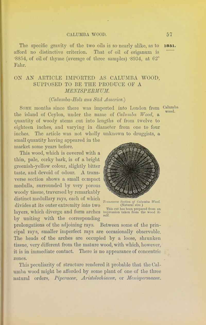The specific gravity of the two oils is so nearly alike, as to issi. afford no distinctive criterion. That of oil of origanum is •8854, of oil of thyme (average of three samples) 8934, at 02° Eahr. ON AN ARTICLE IMPORTED AS CALUMBA WOOD, SUPPOSED TO BE THE PRODUCE OF A MENISPERMUM. (Calumba-Holz mis Siid America.) Some months since there was imported into London from Calumba wood. the island of Ceylon, under the name of Calumba Wood, a quantity of woody stems cut into lengths of from twelve to eighteen inches, and varying in diameter from one to four inches. The article was not wholly unknown to druggists, a small quantity having appeared in the market some years before. This wood, which is covered with a thin, pale, corky bark, is of a bright greenish-yellow colour, slightly bitter taste, and devoid of odour. A trans- verse section shows a small compact medulla, surrounded by very porous woody tissue, traversed by remarkably distinct medullary rays, each of which , Transverse Section of Cdkimba Wood. divides at its outer extremity into two (Natural size.) ..... . _ . This cat has been prepared from an laVei'S. Which diverge and IOrm arches impression taken from the wood it- , . . -it i. self. by uniting with the corresponding prolongations of the adjoining rays. Between some of the prin- cipal rays, smaller imperfect rays are occasionally observable. The heads of the arches are occupied by a loose, shrunken tissue, very different from the mature wood, with which, however, it is in immediate contact. There is no appearance of concentric zones. This peculiarity of structure rendered it probable that the Cal- uinba wood might be afforded by some plant of one of the three natural orders, Pipcracew, Aristolochiacecc, or Mcnispermacecc.