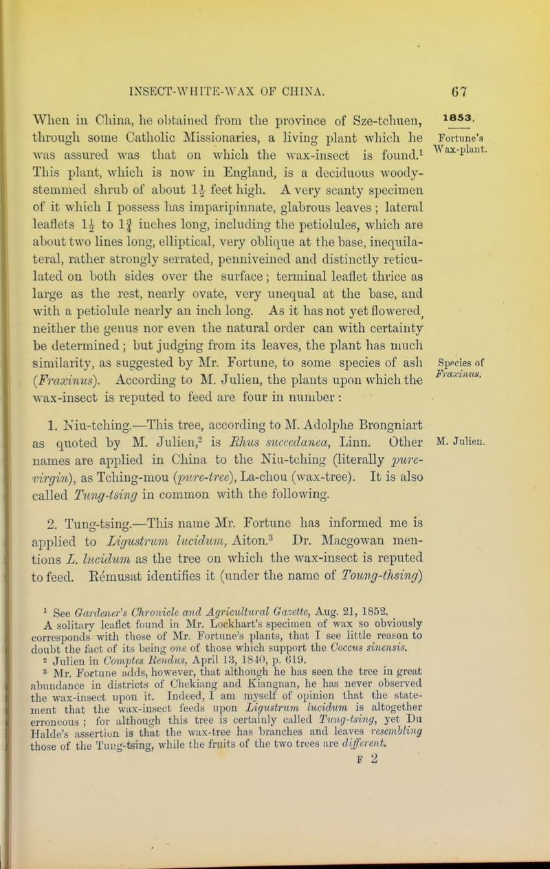 When in China, he obtained from the province of Sze-tchuen, 1853- through some Catholic Missionaries, a living plant which he Fortune's TTT _ 1. i was assured was that on which the wax-insect is found.1 ax'iJa 1 ' This plant, which is now in England, is a deciduous woody- stemmed shrub of about 1^ feet high. A very scanty specimen of it which I possess has imparipinnate, glabrous leaves; lateral leaflets lh to If inches long, including the petiolules, which are about two lines long, elliptical, very oblique at the base, inequila- teral, rather strongly serrated, penniveined and distinctly reticu- lated on both sides over the surface; terminal leaflet thrice as large as the rest, nearly ovate, very unequal at the base, and with a petiolule nearly an inch long. As it has not yetflowered} neither the genus nor even the natural order can with certainty be determined ; but judging from its leaves, the plant has much similarity, as suggested by Mr. Fortune, to some species of ash Species of {Fraxinus). According to M. Julien, the plants upon which the wax-insect is reputed to feed are four in number: Fraxinus. 1, Niu-tching.—This tree, according to M. Adolphe Brongniart as quoted by M. Julien,2 is Rhus succcdanea, Linn. Other M. Julien. names are applied in China to the Niu-tching (literally pure- virgin), as Tchiug-mou (pure-iree), La-chou (wax-tree). It is also called Tung-tsing in common with the following. 2. Tung-tsing.—This name Mr. Fortune has informed me is applied to Ligiistrum lucidum, Aiton.3 Dr. Macgowan men- tions L. lucidum as the tree on which the wax-insect is reputed to feed. Kemusat identifies it (under the name of Toung-thsing) 1 See Gardener's Chronicle and Agricultural Gazette, Aug. 21, 1852. _ A solitary leaflet found in Mr. Lockhart's specimen of wax so obviously corresponds with those of Mr. Fortune's plants, that I see little reason to doubt the fact of its being one of those which support the Coccus sinensis.  Julien in Comptes Rendus, April 13, 1840, p. bTJ. 3 Mr. Fortune adds, however, that although he has seen the tree in great abundance in districts of Cliekiang and Kiangnan, he has never observed the wax-insect upon it. Indeed, I am myself of opinion that the state- ment that the wax-insect feeds upon Ligustrum lucidum is altogether erroneous ; for although this tree is certainly called Tung-tsing, yet I)u Halde's assertion is that the wax-tree has branches and leaves resembling those of the Tun-tsincr, while the fruits of the two trees are different. F 2
