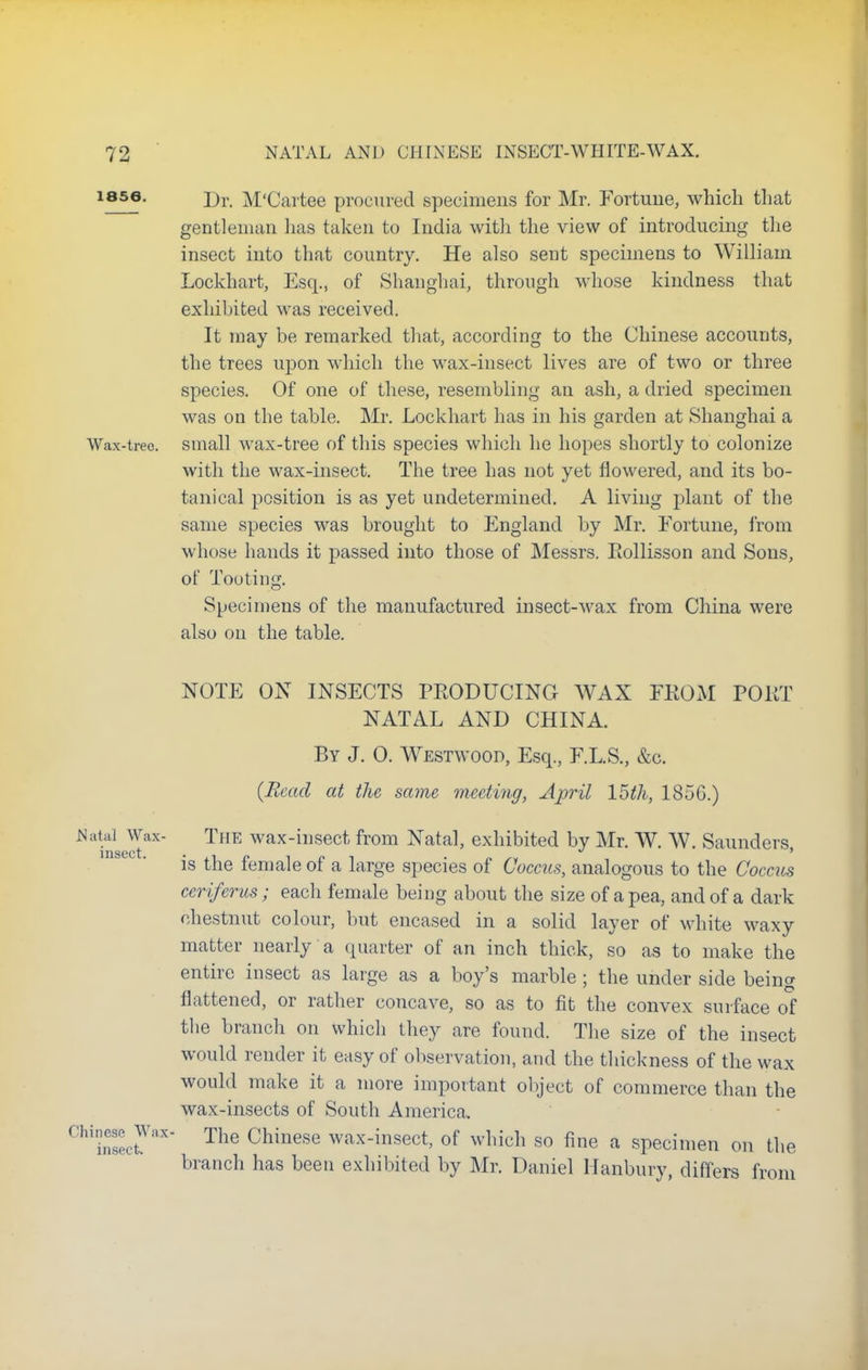 1856. dy M'Cartee procured specimens for Mr. Fortune, which that gentleman has taken to India with the view of introducing the insect into that country. He also sent specimens to William Lockhart, Esq., of Shanghai, through whose kindness that exhibited was received. It may be remarked that, according to the Chinese accounts, the trees upon which the wax-insect lives are of two or three species. Of one of these, resembling an ash, a dried specimen was on the table. Mr. Lockhart has in his garden at Shanghai a Wax-treo. small wax-tree of this species which he hopes shortly to colonize with the wax-insect. The tree has not yet flowered, and its bo- tanical position is as yet undetermined. A living plant of the same species was brought to England by Mr. Fortune, from whose hands it passed into those of Messrs. Iiollisson and Sons, of Tooting. Specimens of the manufactured insect-wax from China were also on the table. NOTE ON INSECTS PEODUCING WAX FROM PORT NATAL AND CHINA. By J. 0. Westwood, Esq., F.L.S., &c. (Bead at the same meeting, April 15th, 1856.) Natal Wax- The wax-insect from Natal, exhibited by Mr. W. W. Saunders insect • is the female of a large species of Coccus, analogous to the Coccus ccriferus; each female being about the size of a pea, and of a dark chestnut colour, but encased in a solid layer of white waxy matter nearly a quarter of an inch thick, so as to make the entire insect as large as a boy's marble ; the under side being flattened, or rather concave, so as to fit the convex surface of the branch on which they are found. The size of the insect would render it easy of observation, and the thickness of the wax would make it a more important object of commerce than the wax-insects of South America. f'inEct aX The Chinese wax-insect, of which so fine a specimen on the branch has been exhibited by Mr. Daniel Hanbury, differs from