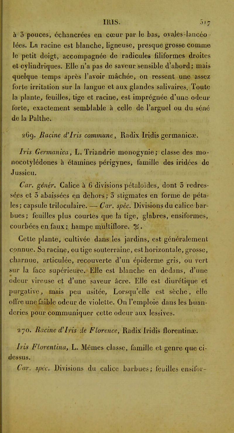 à 3 pouces, échancrées en cœur par le bas, ovales-lancéo - lées. La racine est blanche, ligneuse, presque grosse comme le petit doigt, accompagnée de radicules filiformes droites et cylindriques. Elle n'a pas de saveur sensible d'abord; mais quelque temps après l'avoir mâchée, on ressent une assez forte irritation sur la langue et aux glandes salivaires. Toute la plante, feuilles, tige et racine, est imprégnée d'une odeur forte, exactement semblable à celle de l'arguel ou du séné de la Palthe. 269. Racine d'Iris commune, Radix Iri.dis germanica?. Iris Gennanica, L. ïriandrie monogynie; classe des mo- nocotyiédones à étamines périgynes, famille des iridées de Jussieu. Car. génér. Calice à 6 divisions pétaloïdes, dont 5 redres- sées et 3 abaissées en dehors; 3 stigmates en forme de péta- les; capsule triloculaire. — Car. spêc. Divisions du calice bar- bues; feuilles plus courtes que la tige, glabres, ensiformes, courbées en faux;, hampe multiflore. % . Cette plante, cultivée dans les jardins, est généralement connue. Sa racine, ou tige souterraine, est horizontale, grosse, charnue, articulée, recouverte d'un épiderme gris, ou vert sur la face supérieure. Elle est blanche en dedans, d'une odeur vireuse et d'une saveur âcre. Elle est diurétique et purgative, mais peu usitée, Lorsqu'elle est sèche, elle oflre une faible odeur de violette. On l'emploie dans les buan- deries pour communiquer cette odeur aux lessives. 270. Racine d'Iris de Florence, Radix Iridis florentime. Iris Florentina, L. Mêmes classe, famille et genre que ci- dessus. Car. spéc. Divisions du calice barbues; feuilles ensifor-