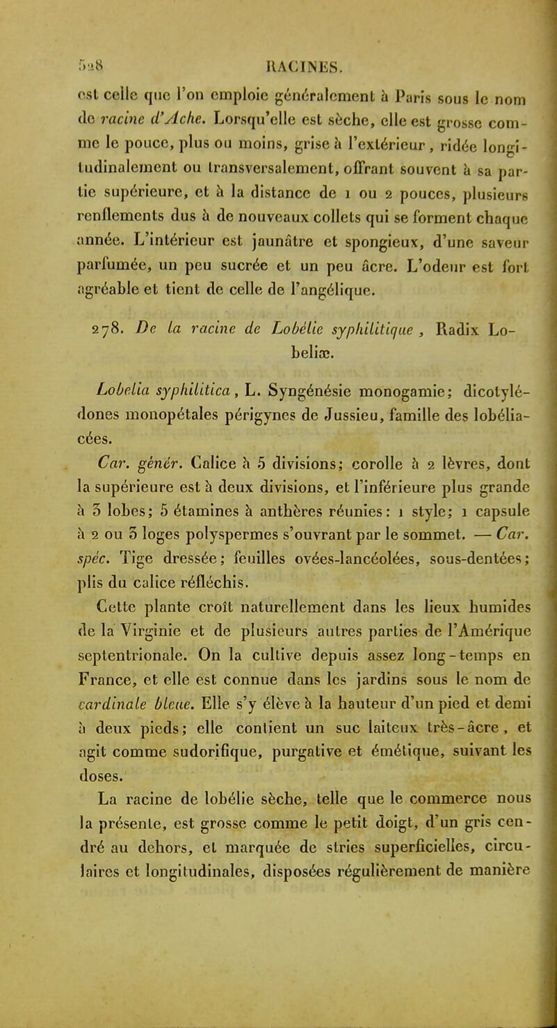 est celle que l'on emploie généralement a Paris sous le nom de racine d'Ache. Lorsqu'elle est sèche, elle est grosse com- me le pouce, plus ou moins, grise à l'extérieur, ridée longi- ludinalement ou transversalement, offrant souvent à sa par- tie supérieure, et à la distance de 1 ou 2 pouces, plusieurs renflements dus à de nouveaux collets qui se forment chaque année. L'intérieur est jaunâtre et spongieux, d'une saveur parfumée, un peu sucrée et un peu acre. L'odeur est fort agréable et tient de celle de l'angélique. 278. De la racine de Lobélic syphilitique , Radix Lo- beliœ. Lobelia syphilitica, L. Syngénésie monogamie; dicotylé- dones monopétales périgynes de Jussieu, famille des lobélia- cées. Car. génér. Calice h 5 divisions; corolle à 2 lèvres, dont la supérieure est à deux divisions, et l'inférieure plus grande à 3 lobes; 5 étamines à anthères réunies: 1 style; 1 capsule à 2 ou 5 loges polyspermes s'ouvrant par le sommet. — Car. spèc. Tige dressée; feuilles ovées-lancéolées, sous-dentées; plis du calice réfléchis. Cette plante croît naturellement dans les lieux humides de la Virginie et de plusieurs autres parties de l'Amérique septentrionale. On la cultive depuis assez long-temps en France, et elle est connue dans les jardins sous le nom de cardinale bleue. Elle s'y élève h la hauteur d'un pied et demi à deux pieds; elle contient un suc laiteux très-âcre, et agit comme sudorifique, purgative et émétique, suivant les doses. La racine de lobélie sèche, telle que le commerce nous la présente, est grosse comme le petit doigt, d'un gris cen- dré au dehors, et marquée de stries superficielles, circu- laires et longitudinales, disposées régulièrement de manière