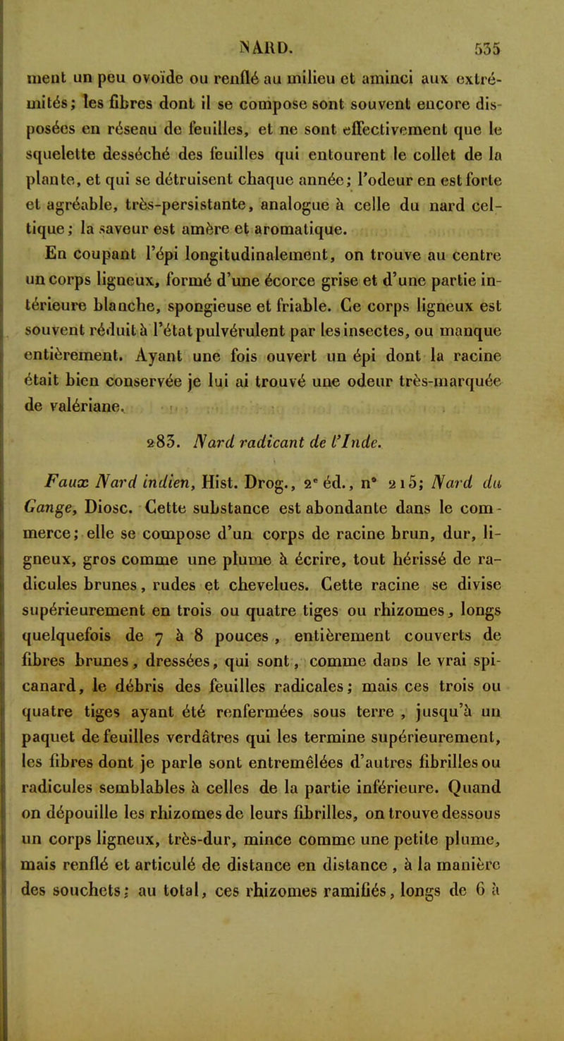 nient un peu ovoïde ou renflé au milieu et aminci aux extré- mités; les fibres dont il se compose sont souvent encore dis- posées en réseau de feuilles, et ne sont effectivement que le squelette desséché des feuilles qui entourent le collet de la plante, et qui se détruisent chaque année; l'odeur en est forte et agréable, très-persistante, analogue à celle du nard cel- tique ; la saveur est amère et aromatique. En coupant l'épi longitudinalement, on trouve au centre un corps ligneux, formé d'une écorce grise et d'une partie in- térieure blanche, spongieuse et friable. Ce corps ligneux est souvent réduit a l'état pulvérulent par les insectes, ou manque entièrement. Ayant une fois ouvert un épi dont la racine était bien conservée je lui ai trouvé une odeur très-marquée de valériane. 283. Nard radicant de l'Inde. Faux Nard indien, Hist. Drog., 2e éd., n* 215; Nard du Gange, Diosc. Cette substance est abondante dans le com - merce ; elle se compose d'un corps de racine brun, dur, li- gneux, gros comme une plume à écrire, tout hérissé de ra- dicules brunes, rudes et chevelues. Cette racine se divise supérieurement en trois ou quatre tiges ou rhizomes, longs quelquefois de 7 à 8 pouces , entièrement couverts de fibres brunes, dressées, qui sont, comme dans le vrai spi- canard, le débris des feuilles radicales; mais ces trois ou quatre tiges ayant été renfermées sous terre , jusqu'à un paquet de feuilles vcrdâtres qui les termine supérieurement, les fibres dont je parle sont entremêlées d'autres fibrilles ou radicules semblables à celles de la partie inférieure. Quand on dépouille les rhizomes de leurs fibrilles, on trouve dessous un corps ligneux, très-dur, mince comme une petite plume, mais renflé et articulé de distance en distance , à la manière des souchets; au total, ces rhizomes ramifiés, longs de 6 à