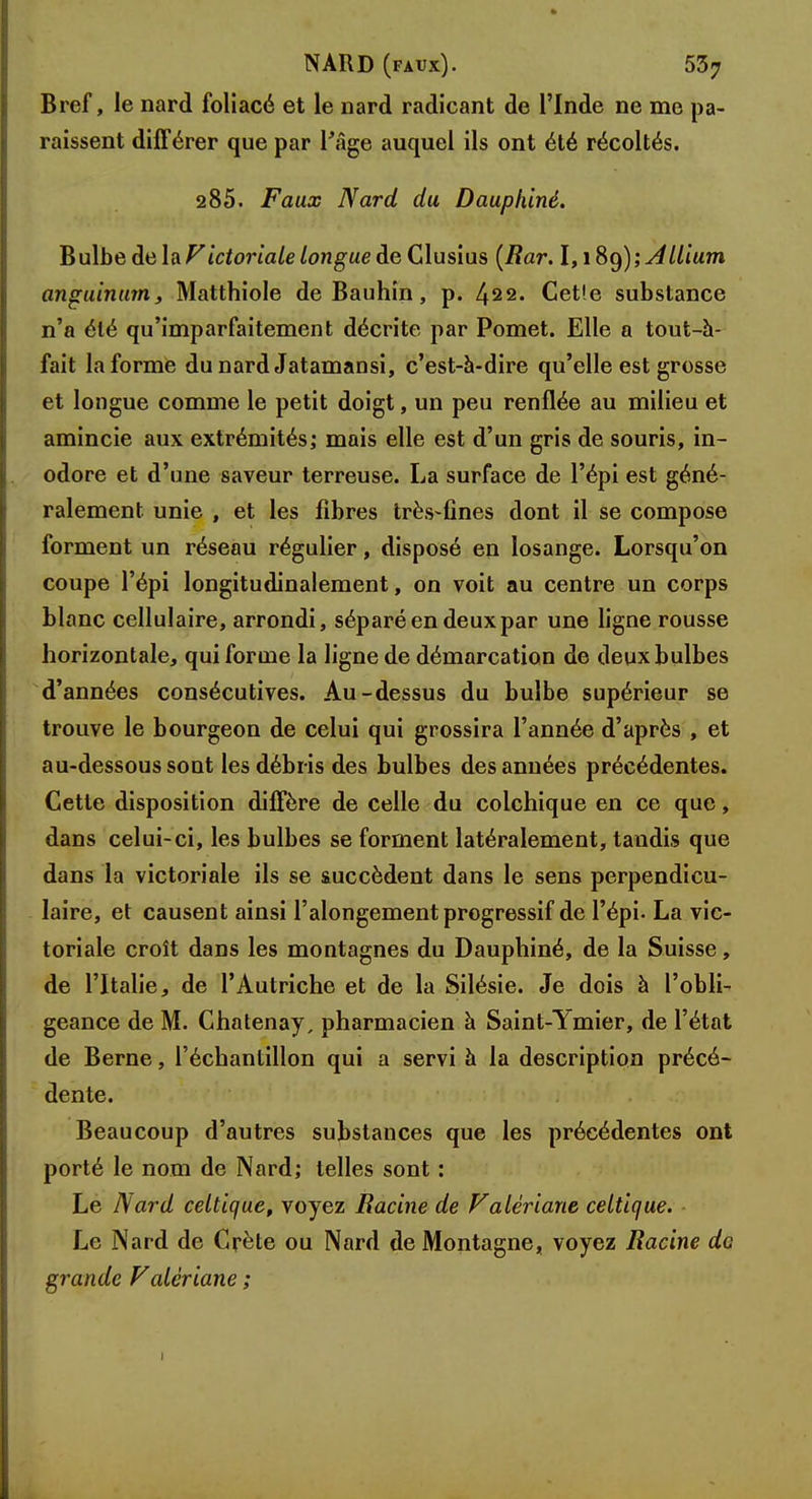 Bref, le nard foliacé et le nard radicant de l'Inde ne me pa- raissent différer que par Page auquel ils ont été récoltés. 285. Faux Nard du Dauphiné. Bulbe delaFictorialelongue&e Clus'ms [Rar. I,i8çf); A Uium anguinum, Matthiole de Bauhin, p. 422. Cet'.e substance n'a été qu'imparfaitement décrite par Pomet. Elle a tout-à- fait la forme du nard Jatamansi, c'est-à-dire qu'elle est grosse et longue comme le petit doigt, un peu renflée au milieu et amincie aux extrémités; mais elle est d'un gris de souris, in- odore et d'une saveur terreuse. La surface de l'épi est géné- ralement unie , et les fibres très-fines dont il se compose forment un réseau régulier, disposé en losange. Lorsqu'on coupe l'épi longitudinalement, on voit au centre un corps blanc cellulaire, arrondi, séparé en deux par une ligne rousse horizontale, qui forme la ligne de démarcation de deux bulbes d'années consécutives. Au-dessus du bulbe supérieur se trouve le bourgeon de celui qui grossira l'année d'après , et au-dessous sont les débris des bulbes des années précédentes. Cette disposition diffère de celle du colchique en ce que, dans celui-ci, les bulbes se forment latéralement, tandis que dans la victoriale ils se succèdent dans le sens perpendicu- laire, et causent ainsi l'alongement progressif de l'épi-La vic- toriale croît dans les montagnes du Dauphiné, de la Suisse, de l'Italie, de l'Autriche et de la Silésie. Je dois à l'obli- geance de M. Chatenay, pharmacien à Saint-Ymier, de l'état de Berne, l'échantillon qui a servi à la description précé- dente. Beaucoup d'autres substances que les précédentes ont porté le nom de Nard; telles sont : Le Nard celtique, voyez Racine de Valèriant celtique. Le Nard de Crète ou Nard de Montagne, voyez Racine de grande Valèriane ;