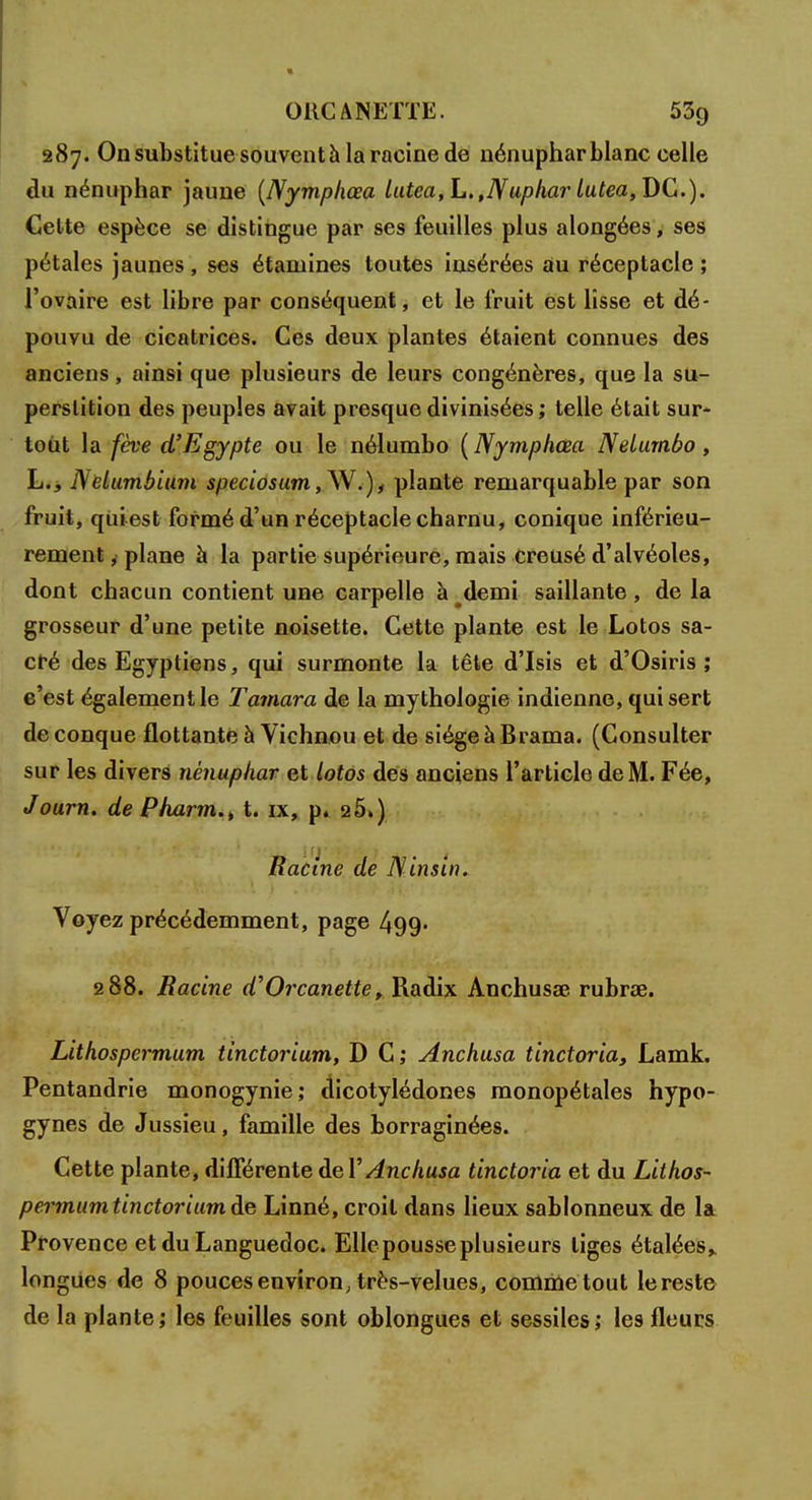 287. On substitue souvent à la racine de nénuphar blanc celle du nénuphar jaune (Nymphœa lutea, L.,Nuphar lutea, DC). Cette espèce se distingue par ses feuilles plus alongées, ses pétales jaunes, ses étamines toutes insérées au réceptacle ; l'ovaire est libre par conséquent, et le fruit est lisse et dé- pouvu de cicatrices. Ces deux plantes étaient connues des anciens, ainsi que plusieurs de leurs congénères, que la su- perstition des peuples avait presque divinisées ; telle était sur* tout la fève d'Egypte ou le nélumbo (Nymphœa Nelumbo, h., Nelumbium speciosum, W.) f plante remarquable par son fruit, qiiiest formé d'un réceptacle charnu, conique inférieu- rement, plane à la partie supérieure, mais creusé d'alvéoles, dont chacun contient une carpelle à demi saillante, de la grosseur d'une petite noisette. Cette plante est le Lotos sa- cré des Egyptiens, qui surmonte la tête d'Isis et d'Osiris ; c'est également le Tamara de la mythologie indienne, qui sert de conque flottante à Vichnou et de siège à Brama. (Consulter sur les divers nénuphar et lotos des anciens l'article de M. Fée, Journ. de Pharm., t. ix, p. 2 5.) Racine de Ninsin. Voyez précédemment, page 499- 288. Racine d'Orcanette, Radix Anchusa? rubrœ. Lithospermum tinctorium, D C; Anchusa tinctoria, Lamk. Pentandrie monogynie; dicotylédones monopétales hypo- gynes de Jussieu, famille des borraginées. Cette plante, différente del' Anchusa tinctoria et du Lithos- permum tinctorium de Linné, croit dans lieux sablonneux de la Provence et du Languedoc. Ellepousseplusieurs liges étalées,, longues de 8 pouces envîron; très-velues, comme tout le reste de la plante; les feuilles sont oblongues et sessiles; les fleurs