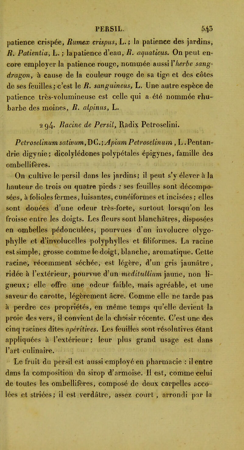 patience crispée, Rumex crispus, L. ; la patience des jardins, R. Patientia, L. ; la patience d'eau, R. aquaticus. On peut en- core employer la patience rouge, nommée aussi Y herbe sang- dragon, à cause de la couleur rouge de sa tige et des côtes de ses feuilles ; c'est le R. sanguineus, L. Une autre espèce de patience très-volumineuse est celle qui a été nommée rhu- barbe des moines, R. alpinus, L. 2 94. Racine de Persil, Radix Petroselini. Petroselinurnsativum,T)Çi.',ApiumPetroselinum, L .Peutan- drie digynie; dicotylédones polypétales épigynes, famille des ombellifères. On cultive le persil dans les jardins; il peut s'y élever à la hauteur de trois ou quatre pieds : ses feuilles sont décompo- sées, à folioles fermes, luisantes, cunéiformes et incisées; elles sont douées d'une odeur très-forte, surtout lorsqu'on les froisse entre les doigts. Les fleurs sont blanchâtres, disposées en ombelles pédonculées, pourvues d'un involucre olygo- phylle et d'involucelles polyphylles et filiformes. La racine est simple, grosse comme le doigt, blanche, aromatique. Cette racine, récemment séchée, est légère, d'un gris jaunâtre, ridée à l'extérieur, pourvue d'un medituUîum jaune, non li- gueux; elle offre une odeur faible, mais agréable, et une saveur de carotte, légèrement acre. Comme elle ne tarde pas à perdre ces propriétés, en même temps qu'elle devient la proie des vers, il convient de la choisir récente. C'est une des cinq racines dites apéritives. Les feuilles sont résolutives étant appliquées â l'extérieur; leur plus grand usage est dans l'art culinaire. Le fruit du persil est aussi employé en pharmacie : il entre dans la composition du sirop d'armoise. Il est, comme celui de toutes les ombellifères, composé de deux carpelles acco lées et striées; il est verdâlre, assez court , arrondi par la