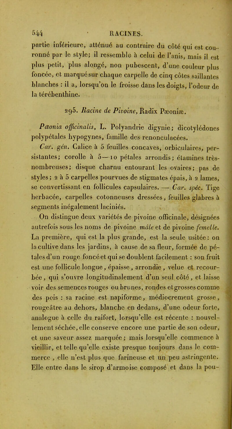 partie inférieure, atténué au contraire du côté qui est cou - ronné par le style; il ressemble à celui de l'anis, mais il est plus petit, plus alongé, non pubescent, d'une couleur plus foncée, et marqué sur chaque carpelle de cinq côtes saillantes blanches : il a, lorsqu'on le froisse dans les doigts, l'odeur de la térébenthine. 295. Racine de Pivoine, Radix Paeoniae. Pœonia officinales, L. Polyandrie digynie; dicotylédones polypétales hypogynes, famille des renonculacées. Car. gén. Calice à 5 feuilles concaves, orbiculaires, per- sistantes; corolle à 5—10 pétales arrondis; étamines très- nombreuses; disque charnu entourant les ovaires; pas de styles; 2 à 5 carpelles pourvues de stigmates épais, à 2 lames, se convertissant en follicules capsulaires. — Car. spéc. Tige herbacée, carpelles cotonneuses dressées, feuilles glabres à segments inégalement laciniés. On distingue deux variétés de pivoine officinale, désignées autrefois sous les noms de pivoine mâle et de pivoine femelle. La première, qui est la plus grande, est la seule usitée: on la cultive dans les jardins, à cause de sa fleur, formée de pé- tales d'un rouge foncé et qui se doublent facilement : son fruit est une follicule longue, épaisse, arrondie , velue et recour- bée , qui s'ouvre longitudinalement d'un seul côté, et laisse voir des semences rouges ou brunes, rondes et grosses comme des pois : sa racine est napiforme, médiocrement grosse, rougeâtre au dehors, blanche en dedans, d'une odeur forte, analogue à celle du raifort, lorsqu'elle est récente : nouvel- lement séchée, elle conserve encore une partie de son odeur, et une saveur assez marquée; mais lorsqu'elle commence à vieillir, et telle qu'elle existe presque toujours dans le com- merce , elle n'est plus que farineuse et un peu astringente. Elle entre dans le sirop d'armoise composé et dans la pou-