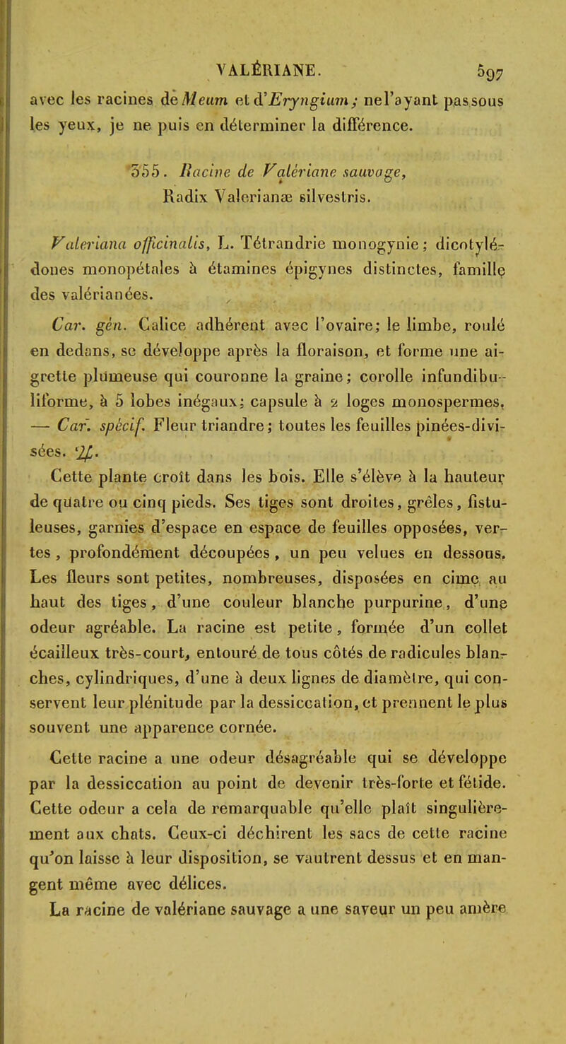 avec les racines àeMeum elà'Eryngium; nel'ayant passous les yeux, je ne puis en déterminer la différence. 555. lîacine de Valériane sauvage, * ° i1 ' > :. i • Radix Valerianae 6ilveslris. Faleriana officinalis, L. Tétrandrie monogynie; dicotylé- dones monopétales à étamines épigynes distinctes, famille des valérianées. Car. gèn. Calice adhérent avec l'ovaire; le limbe, roulé en dedans, se développe après la floraison, et forme une ai- grette plumeuse qui couronne la graine; corolle infundibu- liforme, à 5 lobes inégaux; capsule à 2 loges monospermes, —- Car. spccif. Fleur triandre; toutes les feuilles pinées-divi- sées. Cette plante croît dans les bois. Elle s'élève à la hauteur de quatre ou cinq pieds. Ses tiges sont droites, grêles, fistu- leuses, garnies d'espace en espace de feuilles opposées, verr- tes, profondément découpées, un peu velues en dessous, Les fleurs sont petites, nombreuses, disposées en cime au haut des liges, d'une couleur blanche purpurine, d'une odeur agréable. La racine est petite, formée d'un collet écaiîleux très-court, entouré de tous côtés de radicules blanr ches, cylindriques, d'une à deux lignes de diamètre, qui con- servent leur plénitude par la dessiccation, et prennent le plus souvent une apparence cornée. Cette racine a une odeur désagréable qui se développe par la dessiccation au point de devenir très-forte et fétide. Cette odeur a cela de remarquable qu'elle plaît singulière- ment aux chats. Ceux-ci déchirent les sacs de cette cabine qu'on laisse à leur disposition, se vautrent dessus et en man- gent même avec délices. La racine de valériane sauvage a une saveur un peu amère