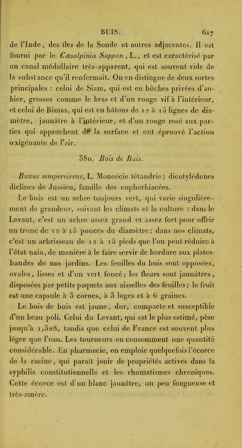 de l'Inde, des îles de la Sonde et aulres adjacentes. 11 est fourni par le Cœsalpinia Sappan , L., et est caractérisé par un canal médullaire très-apparent, qui est souvent vide de la substance qu'il renfermait. On en distingue de deux sortes principales : celui de Siam, qui est en bûches privées d'au- bier, grosses comme le bras et d'un rouge vif à l'intérieur, et celui de Bimas, qui est en bâtons de 12 à i5 lignes de dia- mètre, jaunâtre à l'intérieur, et d'un rouge rosé aux par- ties qui approchent dÉ? la surface et ont éprouvé l'action oxigénanle de l'air. 38o. Bois de Bais. Buxus sempervirens, L. Monoécie létandrie ; dicotylédones diclines de Jussieu, famille des euphorbiacées. Le buis est un arbre toujours vert, qui varie singulière- ment de grandeur, suivant les climats et la culture : dans le Levant, c'est un arbre assez grand et assez fort pour offrir un tronc de 12 à i5 pouces du diamètre; dans nos climats, c'est un arbrisseau de 12 à 15 pieds que l'on peut réduire à l'état nain, de manière à le faire servir de bordure aux plates- bandes de nos jardins. Les feuilles du buis sont opposées, ovales, lisses et d'un vert foncé; les fleurs sont jaunâtres, disposées par petits paquets aux aisselles des feuilles ; le fruit est une capsule à 5 cornes, à 5 loges et à 6 graines. Le bois de buis est jaune, dur, compacte et susceptible d'un beau poli. Celui du Levant, qui est le plus estimé, pèse jusqu'à 1,328, tandis que celui de France est souvent plus léger que l'eau. Les tourneurs en consomment une quantité considérable. En pharmacie, on emploie quelquefois l'écorcc de la racine, qui paraît jouir de propriétés actives dans la syphilis constitutionnelle et les rhumatismes chroniques. Cette écorce est d'un blanc jaunâtre, un peu fongueuse et très-amère.