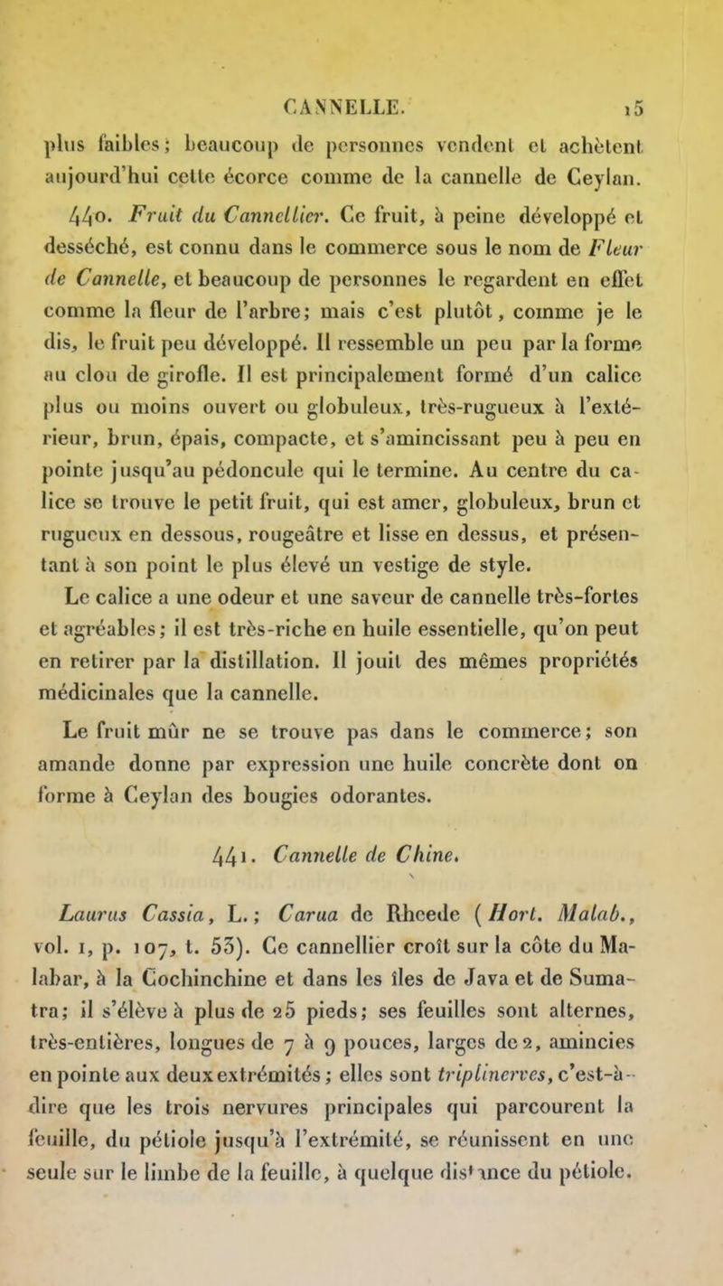 plus faibles ; beaucoup de personnes vcndcnl el achètent aujourd'hui celle écorce comme de la cannelle de Ceyian. 44o. Fruit (lu CannelLier. Ce fruit, à peine développé el desséché, est connu dans le commerce sous le nom de Fleur de Cannelle, et beaucoup de personnes le regardent en effet comme la fleur de l'arbre; mais c'est plutôt, comme je le dis, le fruit peu développé. Il ressemble un peu par la forme au clou de girofle. Il est principalement formé d'un calice plus ou moins ouvert ou globuleux, très-rugueux à l'exté- rieur, brun, épais, compacte, et s'amincissant peu à peu en pointe jusqu'au pédoncule qui le termine. Au centre du ca- lice se trouve le petit fruit, qui est amer, globuleux, brun et rugueux en dessous, rougeâtre et lisse en dessus, et présen- tant h son point le plus élevé un vestige de style. Le calice a une odeur et une saveur de cannelle très-fortes et agréables; il est très-riche en huile essentielle, qu'on peut en retirer par la distillation. Il jouit des mêmes propriétés médicinales que la cannelle. Le fruit mûr ne se trouve pas dans le commerce; son amande donne par expression une huile concrète dont on forme à Ceyian des bougies odorantes. 44 Cannelle de Chine, Laurus Cassia, L. ; Carua de Rhcede {Hort. Malab., vol. I, p. 107, t. 53). Ce cannellier croît sur la côte du Ma- labar, à la Cochinchine et dans les îles de Java et de Suma- tra; il s'élève à plus de 2 0 pieds; ses feuilles sont alternes, très-enlières, longues de 7^9 pouces, larges de 2, amincies en poinle aux deux extrémités ; elles sont triplinerves, c'est-à - dire que les trois nervures principales qui parcourent la feuille, du pétiole jusqu'à l'extrémité, se réunissent en une seule sur le limbe de la feuille, à quelque dis^ince du pétiole.