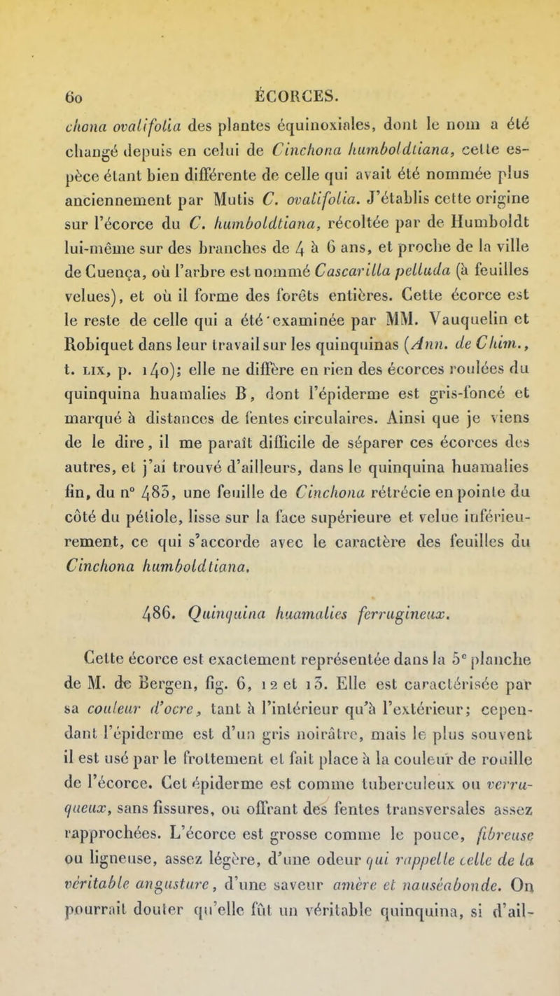 cliona ovallfolia des plantes équinoxiales, dont le nom a été changé depuis en celui de Cinchona liamboldùana, celle es- pèce étant bien différente de celle qui avait été nommée plus anciennement par Mutis C. ovatifolia. J'établis cette origine sur l'écorce du C. ImmboLdtiana, récoltée par de Humboldt lui-même sur des branches de 4 ^ 6 ans, et proche de la ville de Cuença, où l'arbre est nommé Cascarilla peUuda (à feuilles velues), et où il forme des forêts entières. Cette écorce est le reste de celle qui a été examinée par MM. Vauquelin et Robiquet dans leur travail sur les quinqiiinas [Ann. de Chirn., t. Lix, p. i4o); elle ne diffère en rien des écorces roulées du quinquina huamalies B, dont l'épiderme est gris-foncé et marqué à distances de fentes circulaires. Ainsi que je viens de le dire, il me paraît difficile de séparer ces écorces des autres, et j'ai trouvé d'ailleurs, dans le quinquina huamalies fin, du n° 485, une feuille de Cinchona rétrécie enpoinle du côté du pétiole, lisse sur la face supérieure et velue inférieu- rement, ce qui s'accorde avec le caractère des feuilles du Cinchona humhoLdliana. 486. Qauujidna huamalies ferrugineux. Cette écorce est exactement représentée dans la 5^ planche de M. de Bergen, fig. 6, i 2 et i5. Elle est caractérisée par sa couleur d'acre, tant h l'intérieur qu'à l'extérieur; cepen- dant l'épiderme est d'un gris noirâtre, mais le plus souvent il est usé par le frottement et fait place h la couleur de rouille de l'écorce. Cet épiderme est comme tuberculeux ou verru- (jueux, sans fissures, ou offrant des fentes transversales assez rapprochées. L'écorce est grosse comme le pouce, fibreuse ou ligneuse, assez légère, d'une odeur t/ui rappelle celle de la véritable angusture, d'une saveur omère et nauséabonde. On pourrait douler qu'elle fut un véritable quinquina, si d'ail-