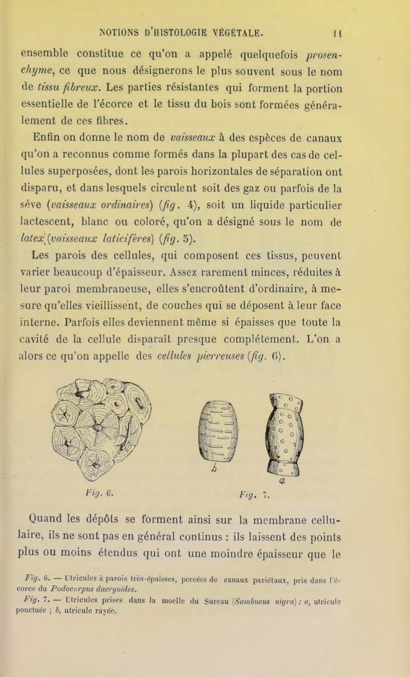 ensemble constitue ce qu’on a appelé quelquefois prosen- chyme^ ce que nous désignerons le plus souvent sous le nom de tissu fibreux. Les parties résistantes qui forment la portion essentielle de l’écorce et le tissu du bois sont formées généra- lement de ces fibres. Enfin on donne le nom de vaisseaux à des espèces de canaux qu’on a reconnus comme formés dans la plupart des cas de cel- lules superposées, dont les parois horizontales de séparation ont disparu, et dans lesquels circulent soit des gaz ou parfois de la sève {vaisseaux ordinaires) {fg. 4), soit un liquide particulier lactescent, blanc ou coloré, qu’on a désigné sous le nom de latex ^vaisseaux laticifères) {fg. 5). Les parois des cellules, qui composent ces tissus, peuvent varier beaucoup d’épaisseur. Assez rarement minces, réduites à leur paroi membraneuse, elles s’encroûtent d’ordinaire, à me- sure qu’elles vieillissent, de couches qui se déposent à leur face interne. Parfois elles deviennent même si épaisses que toute la cavité de la cellule disparaît presque complètement. L’on a alors ce qu’on appelle des cellules pierreuses {fg. G). Quand les dépôts se forment ainsi sur la membrane cellu- laire, ils ne sont pas en général continus : ils laissent des points plus ou moins étendus qui ont une moindre épaisseur que le Fig. G. — Uti'iculcs à parois très-épaisses, percées de canaux pariétaux, pris dans l'é- corce du Podocorpus daci'yoides. Fg. 7. — Uti'iculcs prises dans la moelle du Sureau [Sambucus m'gra); a, utricule ponctuée ; b, utricule rayée.