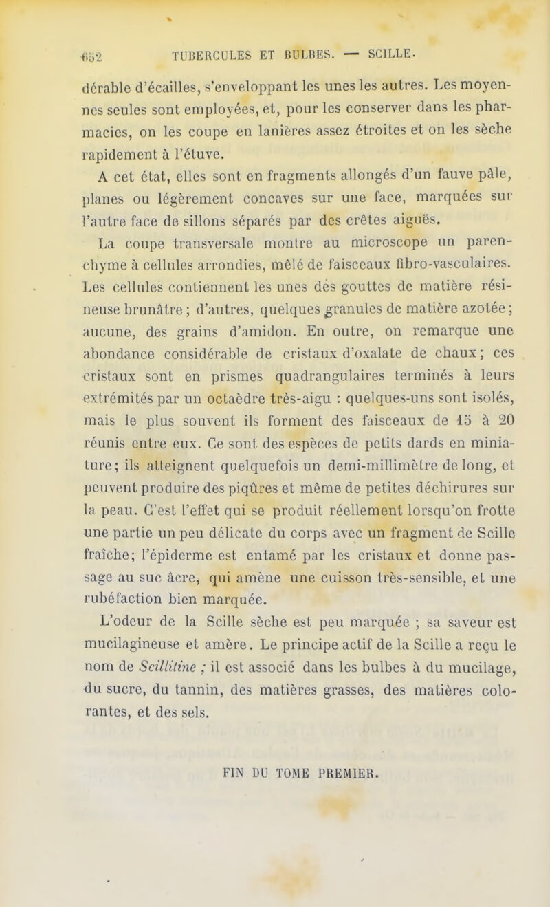dcrable d’écailles, s’enveloppant les unes les autres. Les moyen- nes seules sont employées, et, pour les conserver dans les phar- macies, on les coupe en lanières assez étroites et on les sèche rapidement à l’étuve. A cet état, elles sont en fragments allongés d’un fauve pâle, planes ou légèrement concaves sur une face, marquées sur l’autre face de sillons séparés par des crêtes aiguës. La coupe transversale montre au microscope un paren- chyme à cellules arrondies, mêlé de faisceaux fibro-vasculaires. Les cellules contiennent les unes dés gouttes de matière rési- neuse brunâtre; d’autres, quelques granules de matière azotée; aucune, des grains d’amidon. En outre, on remarque une abondance considérable de cristaux d’oxalate de chaux ; ces cristaux sont en prismes quadrangulaires terminés à leurs extrémités par un octaèdre très-aigu : quelques-uns sont isolés, mais le plus souvent ils forment des faisceaux de 15 à 20 réunis entre eux. Ce sont des espèces de petits dards en minia- ture; ils atteignent quelquefois un demi-millimètre de long, et peuvent produire des piqûres et même de petites déchirures sur la peau. C’est l’elfet qui se produit réellement lorsqu’on frotte une partie un peu délicate du corps avec un fragment de Scille fraîche; l’épiderme est entamé par les cristaux et donne pas- sage au suc âcre, qui amène une cuisson très-sensible, et une rubéfaction bien marquée. L’odeur de la Scille sèche est peu marquée ; sa saveur est mucilagineuse et amère. Le principe actif de la Scille a reçu le nom de Scillitine ; il est associé dans les bulbes à du mucilage, du sucre, du tannin, des matières grasses, des matières colo- rantes, et des sels. FIN DU TOME PREMIER.