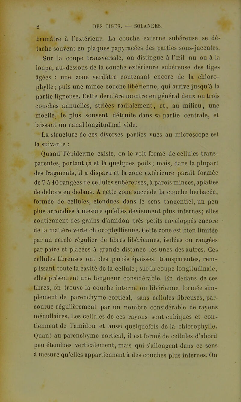 brunâtre â l'extérieur. La couche externe subéreuse se dé- tache souvent en plaques pa.pyracées des parties sous-jacentes. Sur la coupe transversale, on distingue à l’œil nu ou à la loupe, au-dessous de la couche extérieure subéreuse des tiges âgées : une zone verdâtre contenant encore de la chloro- phylle; puis une mince couche libérienne, qui arrive jusqu’à la partie ligneuse. Cette dernière montre en général deux ou trois couches annuelles, striées radialement, et, au milieu, une moelle, le plus souvent détruite dans sa partie centrale, et laissant un canal longitudinal vide. La structure de ces diverses parties vues au microscope est la suivante : Quand l’épiderme existe, on le voit formé de cellules trans- parentes, portant çà et là quelques poils ; mais, dans la plupart des fragments, il a disparu et la zone extérieure paraît formée de 7 à 10 rangées de cellules subéreuses, à parois minces, aplaties de dehors en dedans, A cette zone succède la couche herbacée, formée de cellules, étendues dans le sens tangentiel, un peu plus arrondies à mesure qu’elles deviennent plus internes; elles contiennent des grains d’amidon très-petits enveloppés encore de la matière verte chlorophyllienne. Cette zone est bien limitée par un cercle régulier de fibres libériennes, isolées ou rangées par paire et placées à grande distance les unes des autres. Ces cellules fibreuses ont des parois épaisses, transparentes, rem- plissant toute la cavité de la cellule ; sur la coupe longitudinale, elles présentent une longueur considérable. En dedans de ces fibres, o*n trouve la couche interne ou libérienne formée sim- plement de parenchyme cortical, sans cellules fibreuses, par- courue régulièrement par un nombre considérable de rayons médullaires. Les cellules de ces rayons sont cubiques et con- tiennent de l’amidon et aussi quelquefois de la chlorophylle. Quant au parenchyme cortical, il est formé de cellules d’abord peu étendues verticalement, mais qui s'allongent dans ce sens à mesure qu’elles appartiennent à des couches plus internes. On