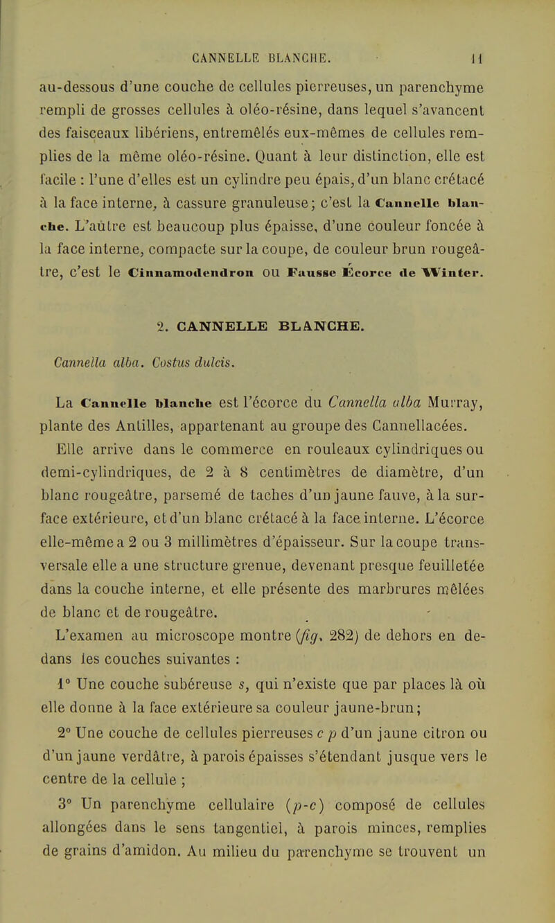 CANNELLE BLANCHE. au-dessous d’une couche de cellules pierreuses, un parenchyme rempli de grosses cellules à oléo-résine, dans lequel s’avancent des faisceaux libériens, entremêlés eux-mêmes de cellules rem- plies de la même oléo-résine. Quant à leur distinction, elle est facile : l’une d’elles est un cylindre peu épais, d’un blanc crétacé h la face interne, à cassure granuleuse; c’est la Cannelle blan- che. L’autre est beaucoup plus épaisse, d’une couleur foncée à la face interne, compacte sur la coupe, de couleur brun rougeâ- Ire, C est le Cinnamotlendron OU Fausse Ecorce de Winter. 2. CANNELLE BLANCHE. Cannella alba. Costus dulcis. La Cannelle blanche est l’écorce du Cannella alba Murray, plante des Antilles, appartenant au groupe des Gannellacées. Elle arrive dans le commerce en rouleaux cylindriques ou demi-cylindriques, de 2 à 8 centimètres de diamètre, d’un blanc rougeâtre, parsemé de taches d’un jaune fauve, à la sur- face extérieure, et d’un blanc crétacé à la face interne. L’écorce elle-même a 2 ou 3 millimètres d’épaisseur. Sur la coupe trans- versale elle a une structure grenue, devenant presque feuilletée dans la couche interne, et elle présente des marbrures mêlées de blanc et de rougeâtre. L’examen au microscope montre (/î^. 282) de dehors en de- dans les couches suivantes : 1“ Une couche subéreuse s, qui n’existe que par places là où elle donne à la face extérieure sa couleur jaune-brun; 2° Une couche de cellules pierreuses c p d’un jaune citron ou d’un jaune verdâtre, à parois épaisses s’étendant jusque vers le centre de la cellule ; 3® Un parenchyme cellulaire {p-c) composé de cellules allongées dans le sens tangentiel, à parois minces, remplies de grains d’amidon. Au milieu du paTenchyme se trouvent un