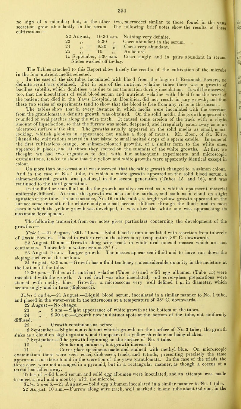 no sign of a microbe ; but, in the other two, micrococci similar to those found In the yawt,, secretion grew abundantly in the serum. The following brief notes show the results of these cultivations :— 22 August, 10.30 a.m. Nothing very definite. 23 9.30 „ Cocci abundant in the serum. 24 „ 9.30 „ Cocci very abundant. 25 „ 10 „ As before. 15 September, 1.30 p.m. Cocci singly and in pairs abundant in serum Slides washed off to-day. The Tables attached to this Report show briefly the results of the cultivation of the microbe in the four nutrient media selected. In the case of the six tubes inoculated with blood from the finger of Rosannah Bowers, no definite result was obtained. But in one of the nutrient gelatine tubes there was a growth of bacillus subtilis, which doubtless was due to contamination during inoculation. It will be observed, too, that the inoculations of solid blood serum and nutrient gelatine with blood from the heart of the patient that died in the Yaws Hospital, at Dominica, did not result in any growth, and thus these two series of experiments tend to show that the blood is free from any virus in the disease. The tables show that in every instance in which media were inoculated with the secretion ^ fiom the granulomata a definite growth was obtained. On the solid media this growth appeared in rounded or oval patches along the wire track. It caused some erosion of the track with a slight amount of liquei'action, so that the furrow was moist, deepened, and irregularly eaten away as in an ulcerated surface of the ekin. The growths usually appeared on the solid media as small, moist- looking, whitish globules in a]»pearance not unlike a drop of mucus. Mr. Boon, of St. Kitts, likened the cultivations started in that island to small melted drops of a sperm candle. In some of the first cultivations orange, or salmon-coloured growths, of a similar form to the white ones, appeared in places, and at times they started on the summits of the white growths. At first we thought we had two organisms to deal with, but subsequent experiments and microscopic examinations, tended to show that the yellow and white growths were apparently identical except in colour. On more than one occasion it was observed that the white growth changed to a salmon colour. And in the case of No. 1 tube, in which a white growth appeared on the solid blood serum, a salmon-coloured growth was produced in the second generation (Tubes 15 and 16), and was continued to the third generation. In the fluid or semi-fluid media the growth usually occurred as a whitish opalescent material uniformly difiused. At times this growth was also on the surface, and sank as a cloud on slight agitation of the tube. In one instance, No. 16 in the table, a bright yellow growth appeared on the surface some time after the white cloudy one had become diffused through the fluid ; and in most cases in which the yellow growth was developed, it was after the white one was approaching its maximum development. The following transcript from our notes gives particulars concerning the development of the growths:— Tube 1.—21 August, 1891. 11 a.m.—Solid blood serum Inoculated with secretion from tubercle of David Bowers. Placed in water-oven in the afternoon ; temperature 38° C. downwards. 22 August. 10 a.m.—Growth along; wire track in white oval mucoid masses which are not ccntinuous. Tubes left in water-oven at 38° C. 23 August. 9 a.m.—Larger growth. The masses appear semi-fluid and to have run down the sloping suriace of the medium. 24 August. 9.30 a.m.— Growth has a fluid tendency ; a considerable quantity in the moisture at the bottom of the tube. 12.30 p.m. — Tubes with nutrient gelatine (Tube 16) and solid egg albumen (Tube 15) were inoculated with the growth. A red fowl was also inoculated, nnd cover-glass preparations were stained with methyl blue. Growth : a micrococcus very well defined 1 ju. in diameter, which occurs singly and in twos (diplococci). Tubes 3 and 4.—21 August.—Liquid blood serum, inoculated in a similar manner to No. 1 tube, and placed in the water-oven in the afternoons at a temperature of 38° C. downwards. 22 August —No change. 23 „ 9 a.m.—Slight appearance of white growth at the bottom of the tubes. 24 „ 9.30 a.m.—Growth now in distinct spots at the bottom of the tube, not uniformly diffused. 25 „ Growth continuous as before. 5 September.—Slight non-coherent whitish growth on the surface of No. 3 tube; the growth sinks as a cloud on slight agitation, and it appears of a yellowish colour on being shaken. 7 September.—The growth beginning on the surface of No. 4 tube. 10 „ Similar appearances, but growth increased, 11 „ Cover-glass specimens made and stained with methyl blue. On microscopic examination there were seen cocci, diplococci, triads, and tetrads, presenting precisely the same appearances as those found in the secretion of the yaws granulomata. In the case of the triads the three cocci were not arranged in a pyramid, but in a rectangular manner, as though a coccus of a tetrad had fallen away. Tubes of solid blood serum and solid egg albumen were inoculated, and an attempt was made to infect a fowl and a monkey with the microbe. Tubes 5 andQ.—21 August.—Solid egg albumen inoculated in a similar manner to No. 1 tube. 22 August, 10 a.m.— FurroAv along wire track, well marked ; in one tube about 0.5 mm, in the