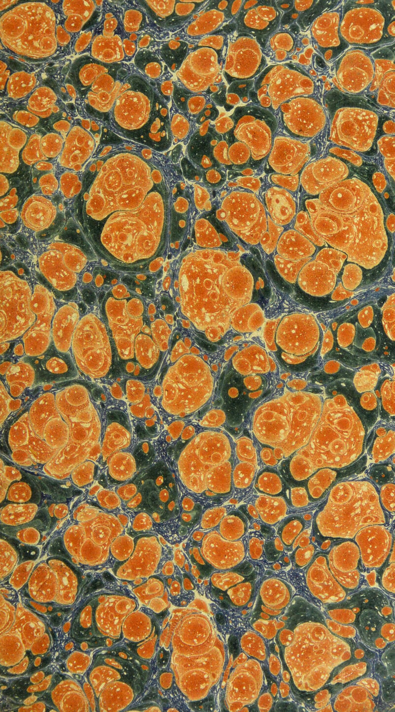 No text description is available for this image