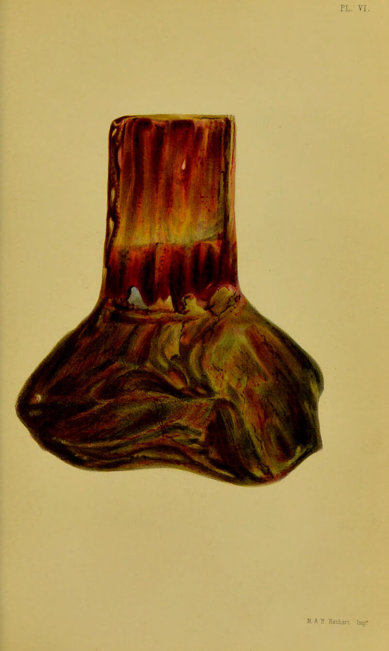 PL. VI.
