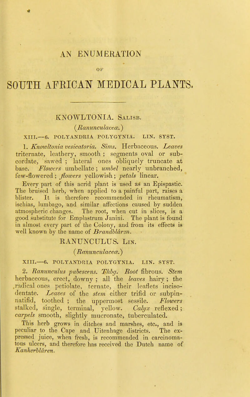 AN ENUMERATION SOUTH AFKICAN MEDICAL PLANTS. KNOWLTONIA. Salisb. {Ranunculacem.) XIII.—6. POLTANDRIA POLYGYNIA. LIN. SYST. 1. Knowltonia vesicatoria. Sims. Herbaceous. Leaves triternate, leathery, smooth ; segments oval or sub- cordate, sawed ; lateral ones obliquely truncate at base. Flowers umbellate; umbel nearly unbranched, few-flowered; Jlowers yellowish; petals linear. Every part of this acrid plant is used as an Epispastic. The bruised herb, when applied to a painful part, raises a blister. It is therefore recommended in rheumatism, ischias, lumbago, and similar affections caused by sudden atmospheric changes. The root, when cut in slices, is a good substitute for Emplastrum Janini. The plant is found in almost every part of the Colony, and from its effects is well known by the name of Brandbl&rzn. RANUNCULUS. Lin. (Ranunculacece.) XIII.—6. POLTANDRIA POLYGYNIA. LIN. SYST. 2. Ranunculus pubescens. Thbg. Root fibrous. Stem herbaceous, erect, downy ; all the leaves hairy; the .radical ones petiolate, ternate, their leaflets inciso- dentate. Leaves of the stem either trifid or subpin- natifid, toothed ; the uppermost sessile. Flowers stalked, single, terminal, yellow. Calyx reflexed; carpels smooth, slightly mucronate, tuberculated. This herb grows in ditches and marshes, etc., and is peculiar to the Cape and Uitenhage districts. The ex- pressed juice, when fresh, is recommended in carcinoma- tous ulcers, and therefore has received the Dutch name of Kankerblaren.