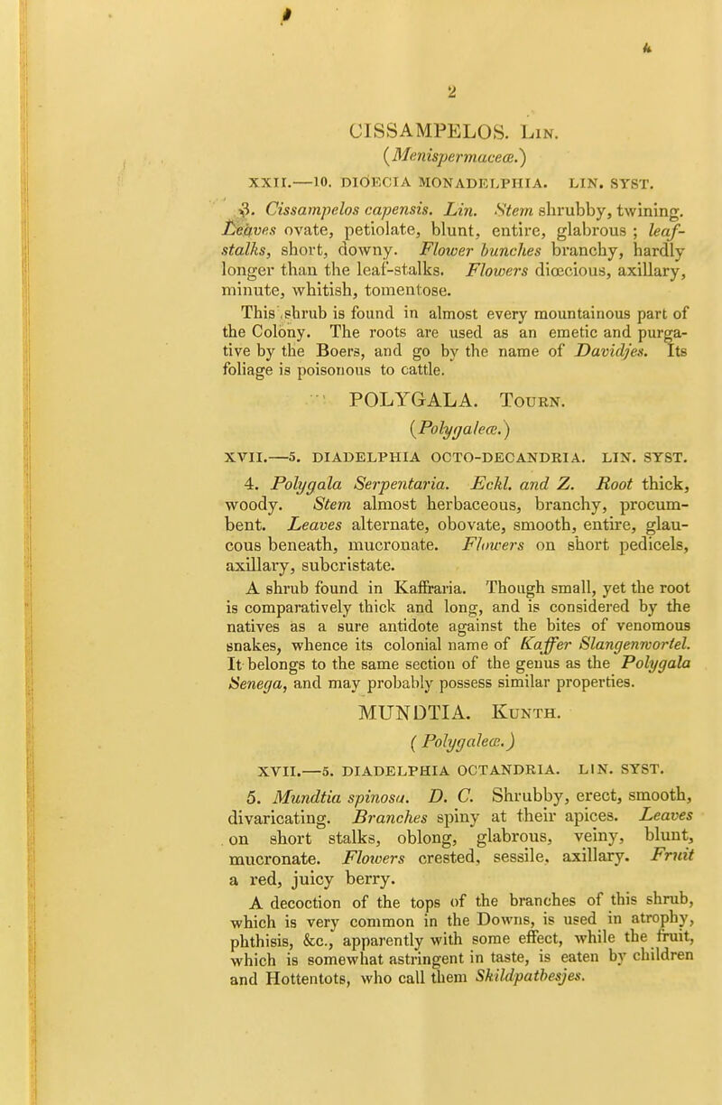k 2 CISSAMPELOS. Lin. ( Afenispermacece.) XXI r.—10. DldECIA MONADELPIIIA. LIN. SYST. Cissampelos capensis. Lin. Stem shrubby, twining. Leaves ovate, petiolate, blunt, entire, glabrous ; leaf- stalks, short, downy. Flower bunches branchy, hardly longer than the leaf-stalks. Flowers dioecious, axillary, minute, whitish, tomentose. This .shrub is found in almost every mountainous part of the Colony. The roots are used as an emetic and purga- tive by the Boers, and go by the name of Davicljes. Its foliage is poisonous to cattle. POLYGALA. Tourn. (Polygal ecu.) XVII.—5. DIADELPHIA OCTO-DECANDRIA. LIN. SYST. 4. Polygala Serpentaria. Echl. and Z. Root thick, woody. Stem almost herbaceous, branchy, procum- bent. Leaves alternate, obovate, smooth, entire, glau- cous beneath, mucronate. Flowers on short pedicels, axillary, subcristate. A shrub found in Kaffraria. Though small, yet the root is comparatively thick and long, and is considered by the natives as a sure antidote against the bites of venomous snakes, whence its colonial name of Kaffer Slangenworfel. It belongs to the same section of the genus as the Polygala Senega, and may probably possess similar properties. MUNDTIA. Kunth. ( Polygalecr..) XVII.—5. DIADELPHIA OCTANDR1A. LIN. SYST. 5. Mundtia spinosu. D. C. Shrubby, erect, smooth, divaricating. Branches spiny at their apices. Leaves on short stalks, oblong, glabrous, veiny, blunt, mucronate. Floioers crested, sessile, axillary. Fruit a red, juicy berry. A decoction of the tops of the branches of this shrub, which is very common in the Downs, is used in atrophy, phthisis, &c, apparently with some effect, while the fruit, which is somewhat astringent in taste, is eaten by children and Hottentots, who call them Skildpatbesjes.
